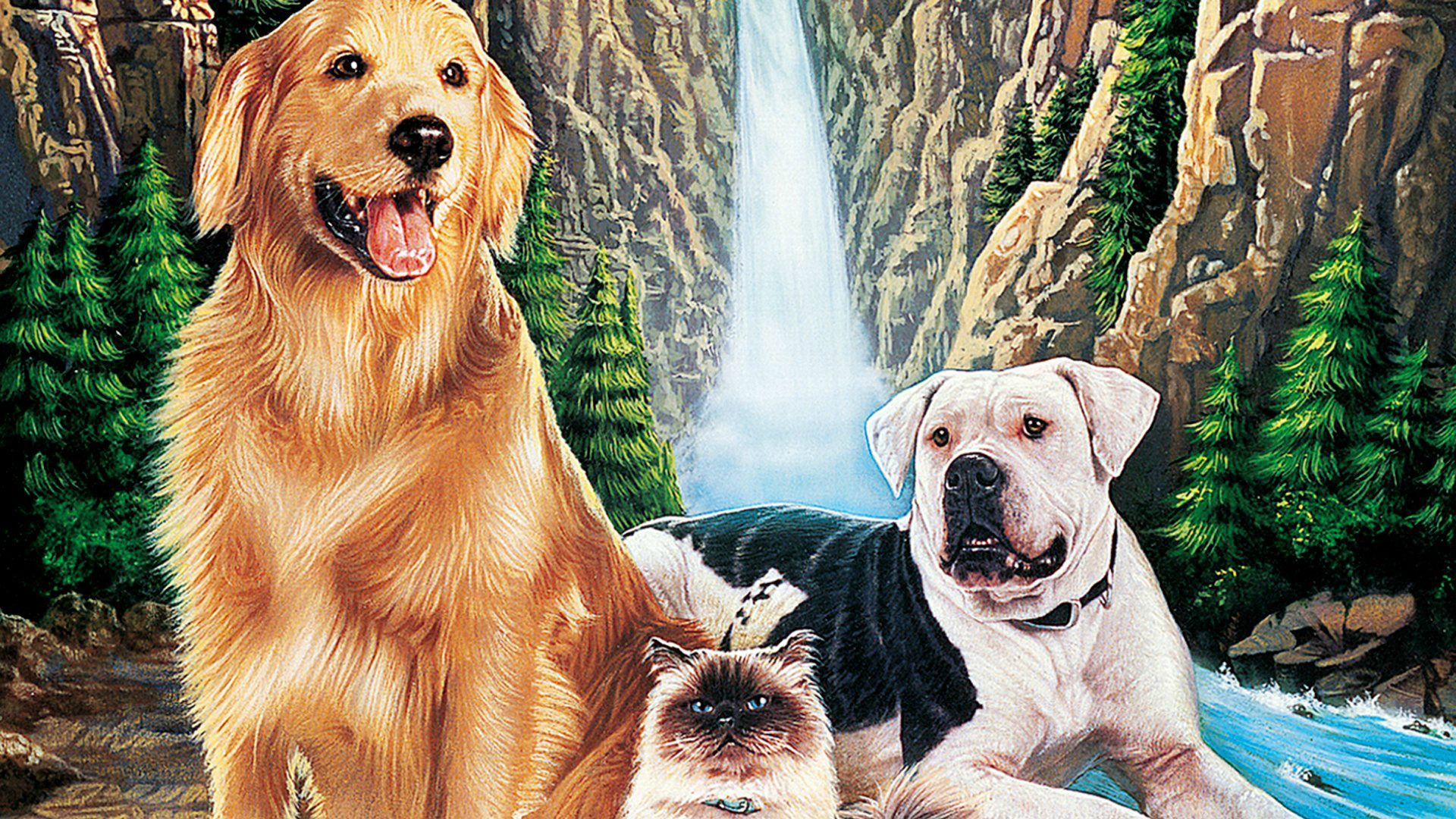 Homeward Bound: The Incredible Journey background