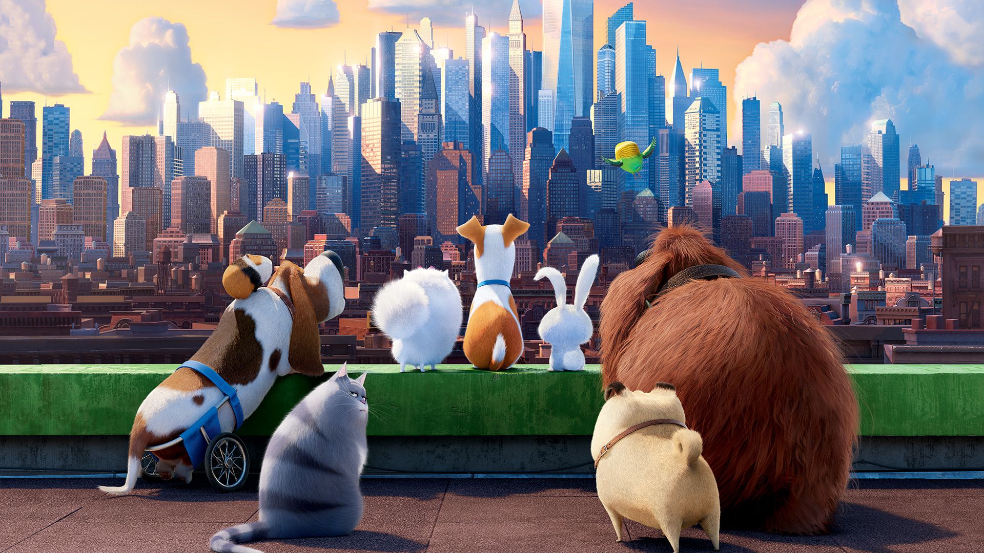The Secret Life of Pets background