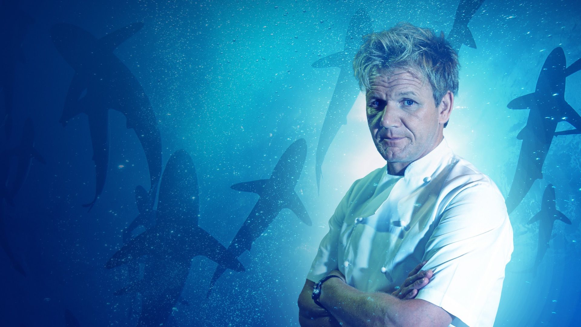 Gordon Ramsay: Shark Bait background