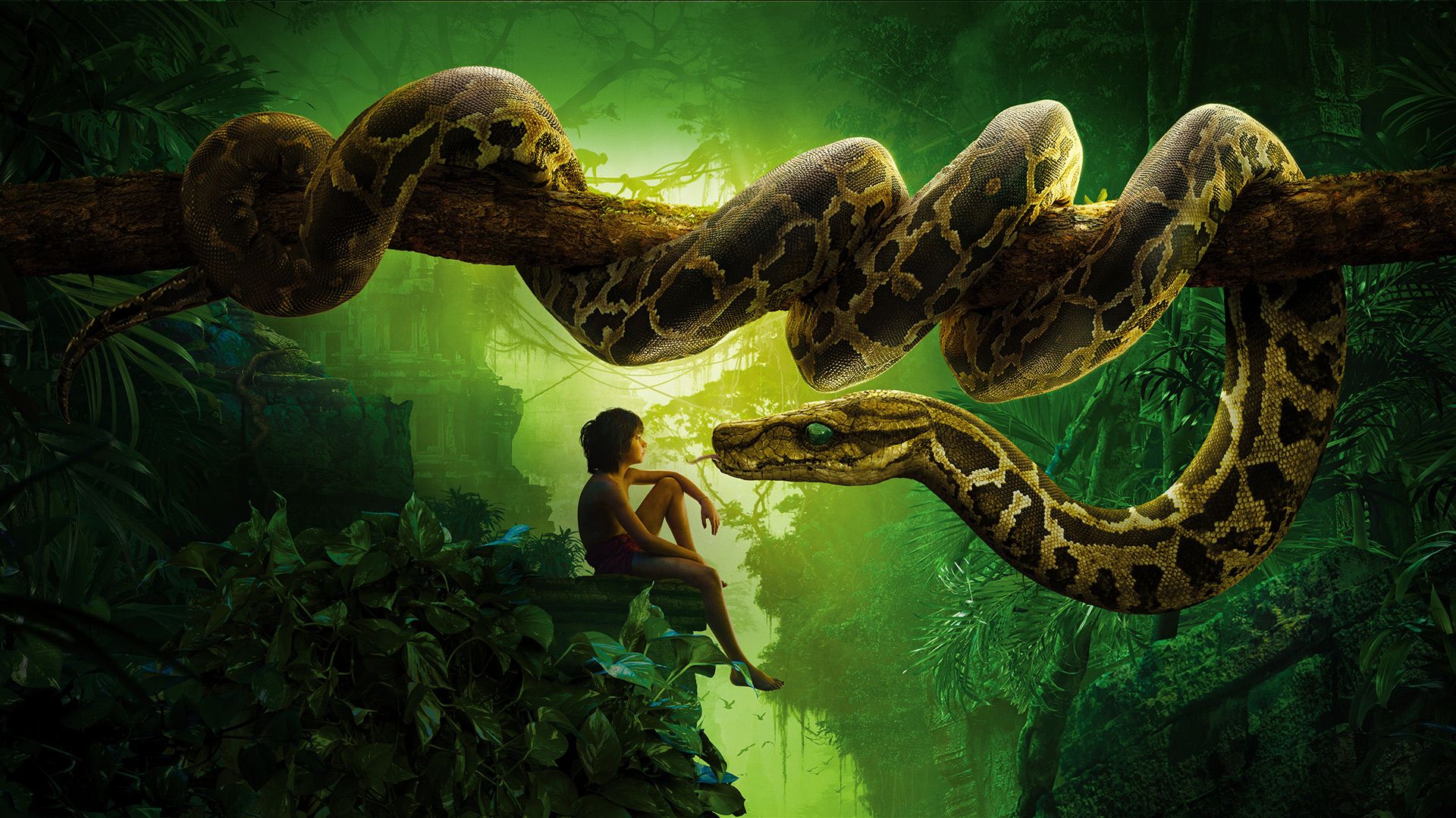 The Jungle Book background