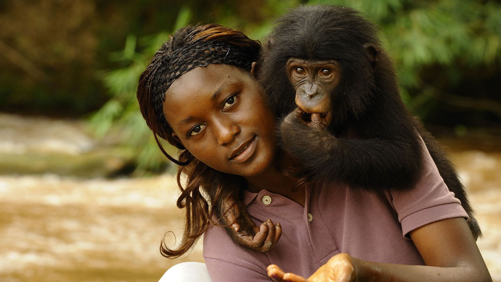 Bonobos: Back to the Wild background