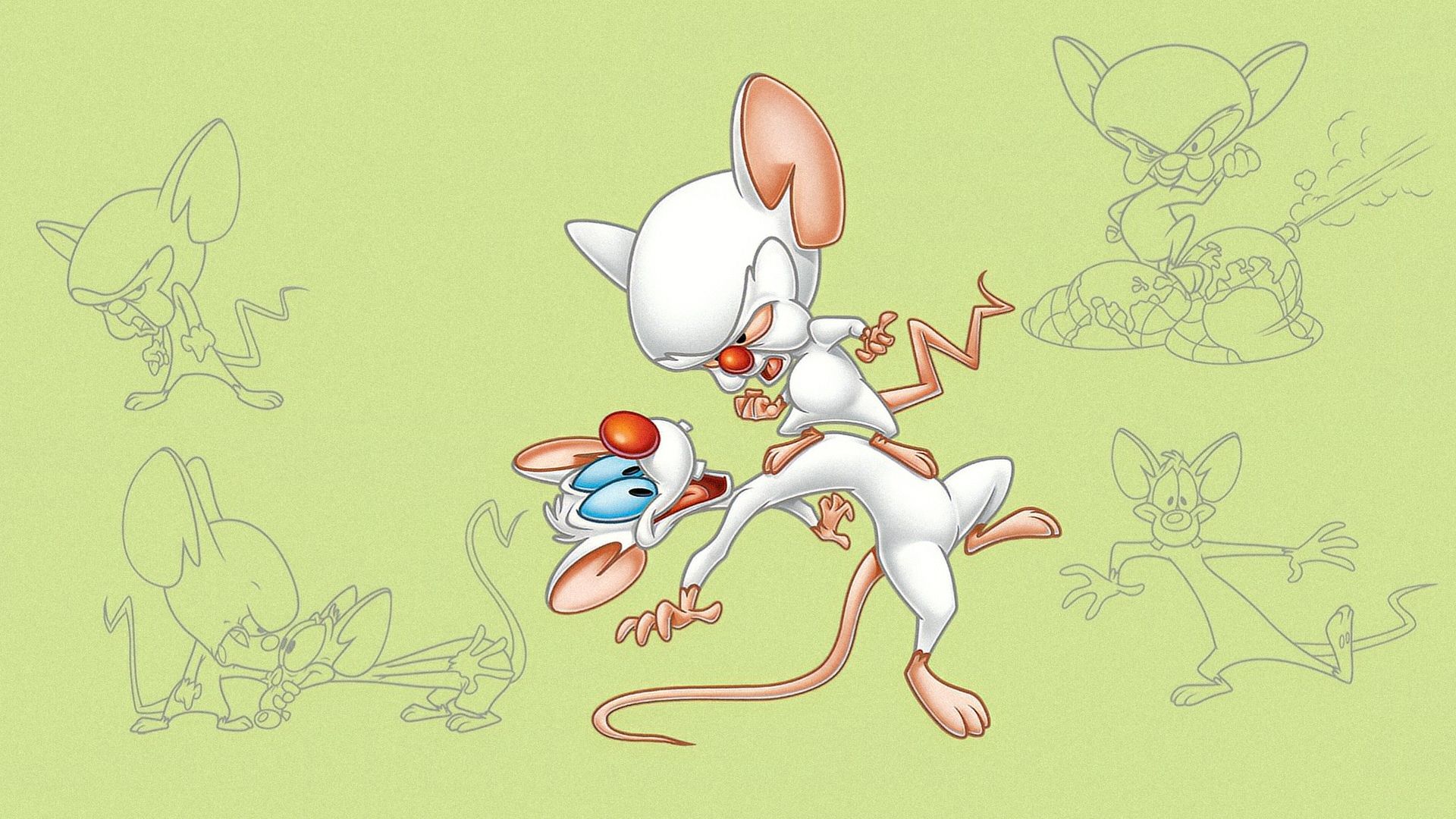 Pinky and the Brain background