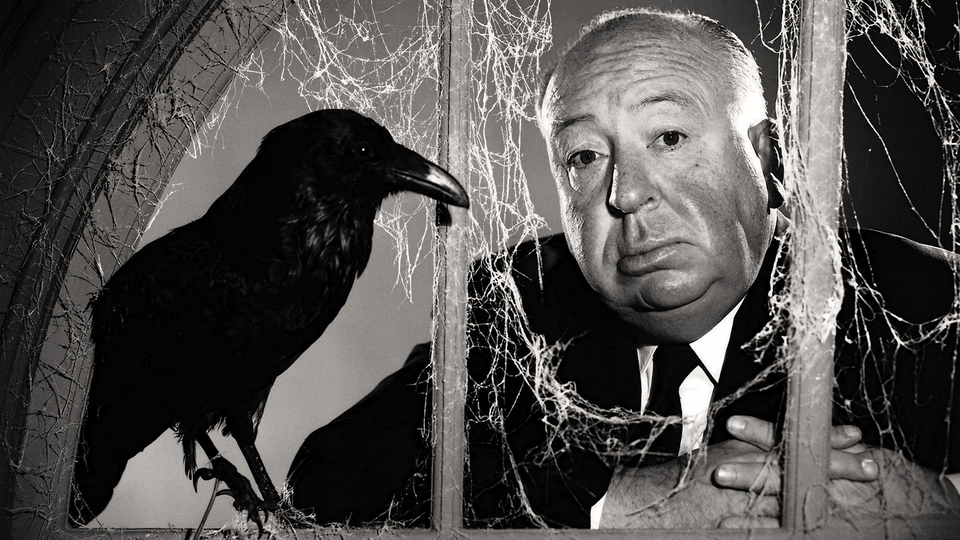 The Alfred Hitchcock Hour background