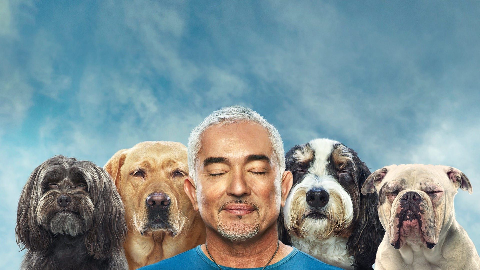 Cesar Millan: Better Human Better Dog background