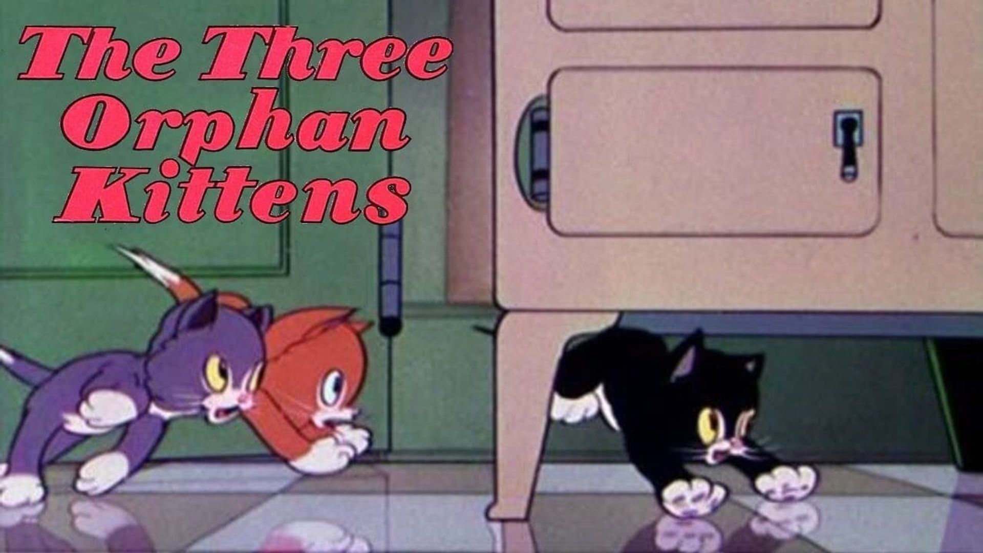 Three Orphan Kittens background