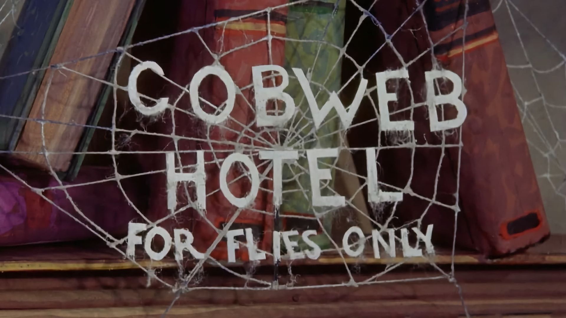 The Cobweb Hotel background