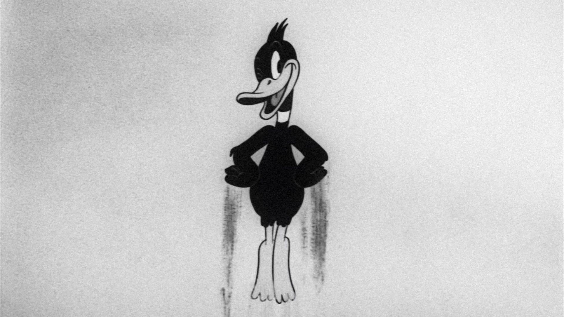 Daffy's Southern Exposure background
