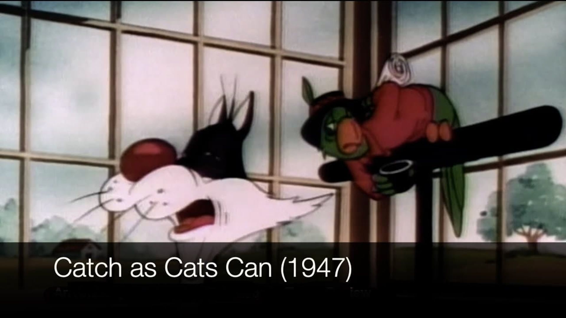 Catch as Cats Can background