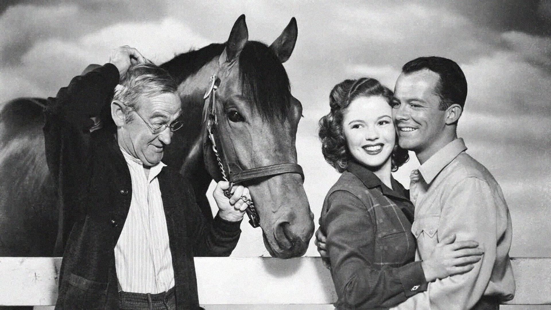 The Story of Seabiscuit background