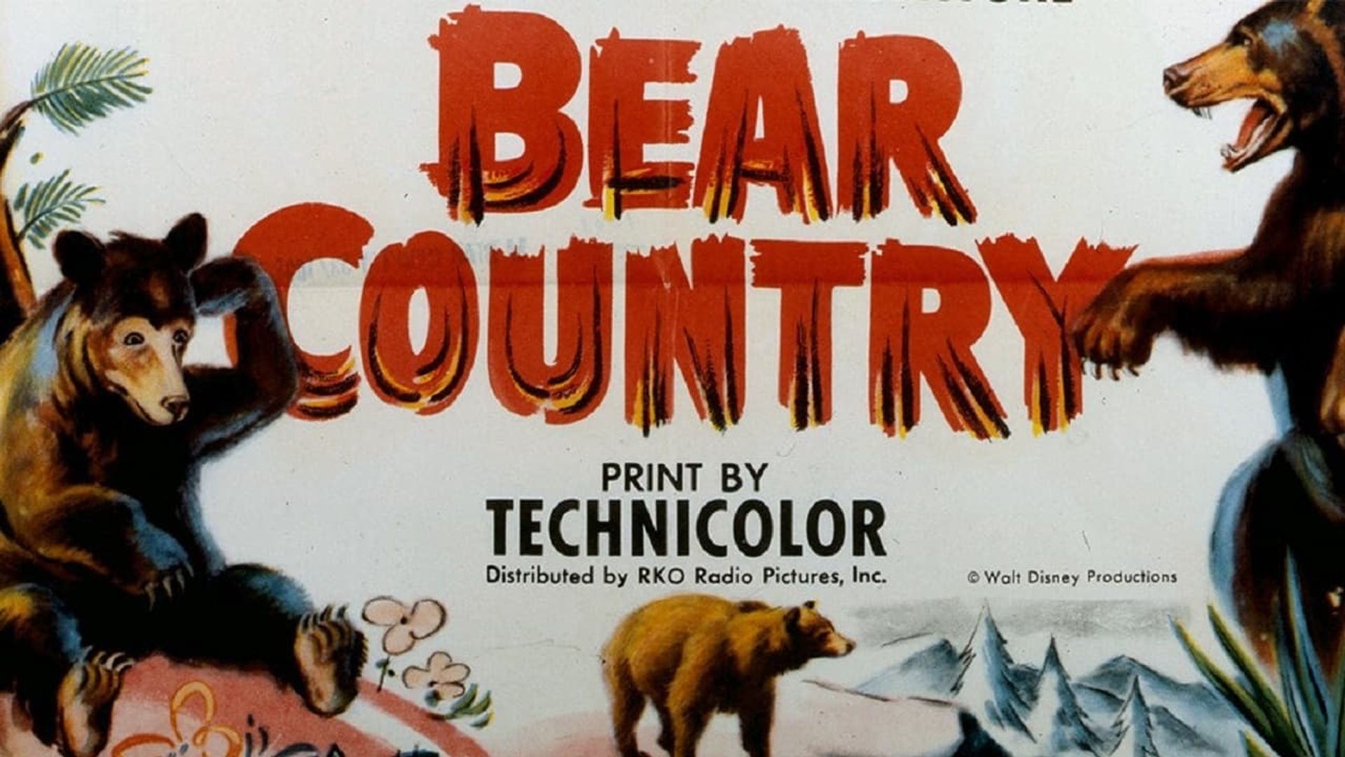 Bear Country background