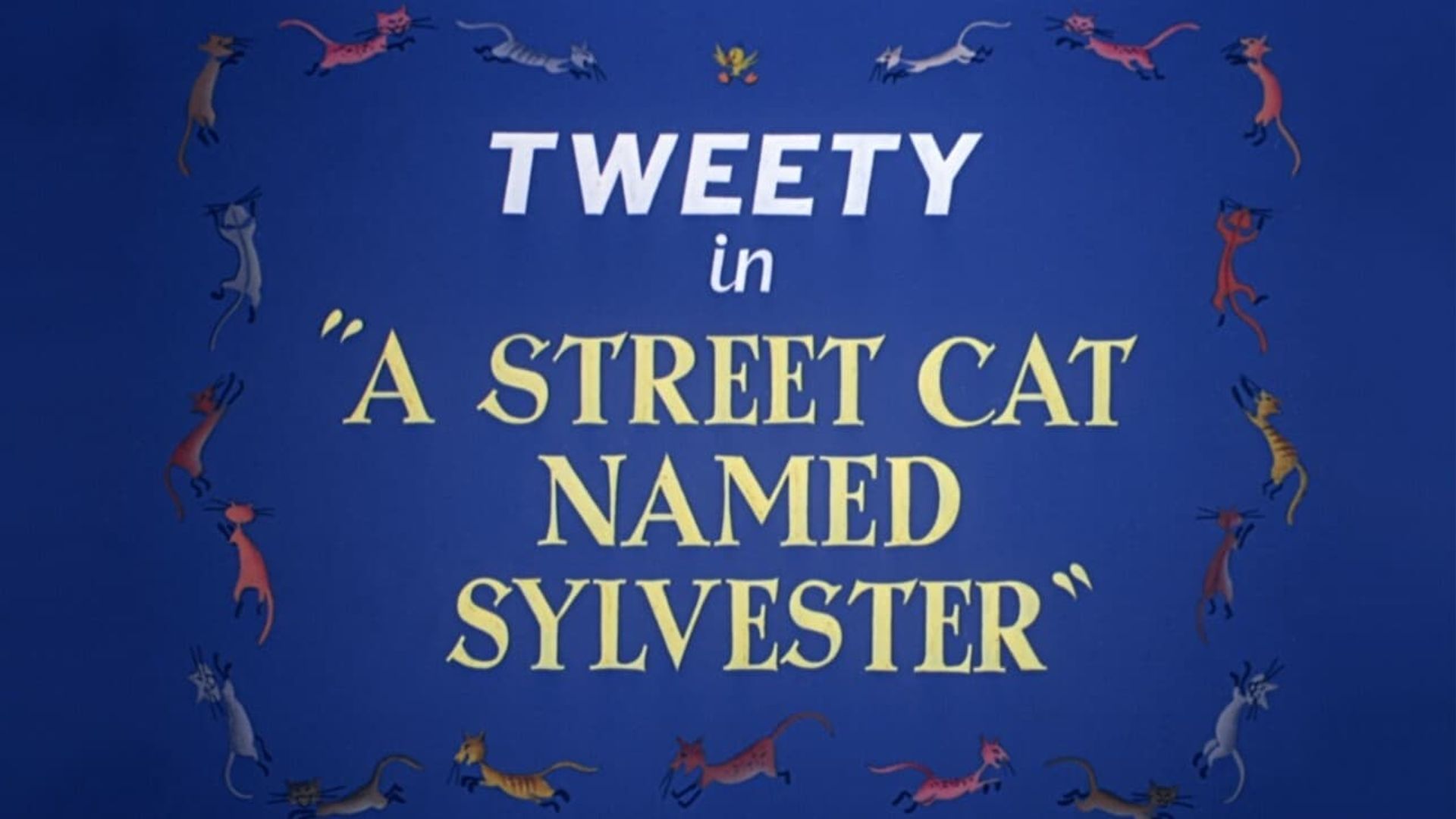 A Street Cat Named Sylvester background