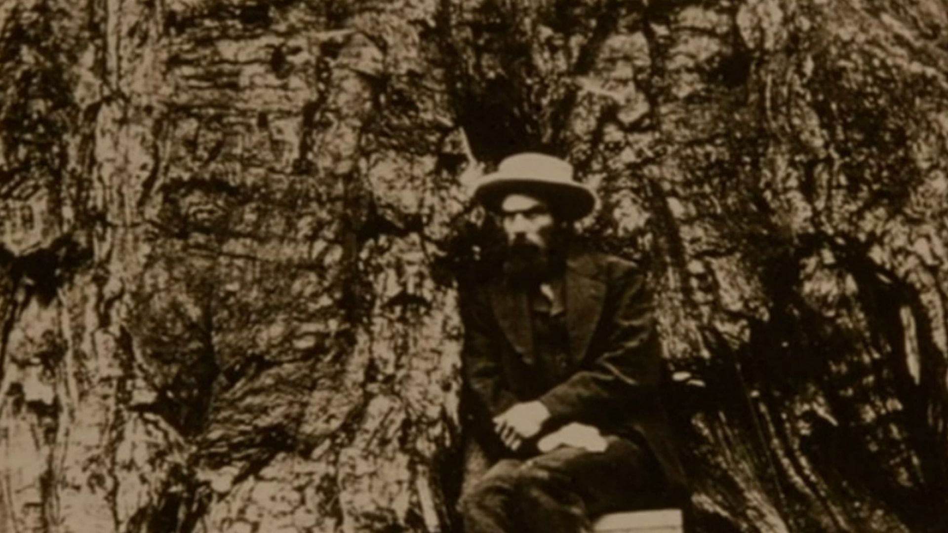 Eadweard Muybridge, Zoopraxographer background