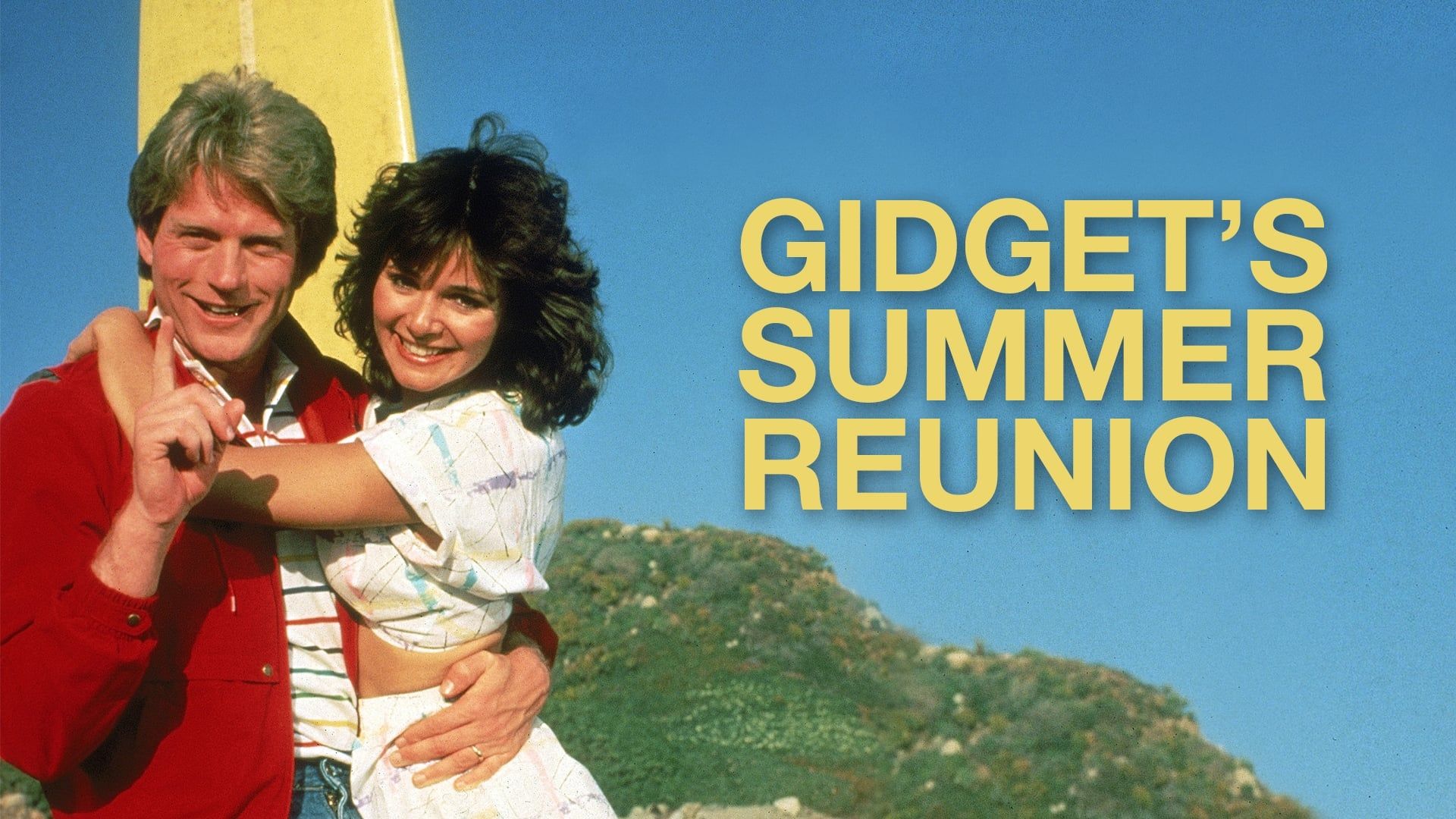 Gidget's Summer Reunion background