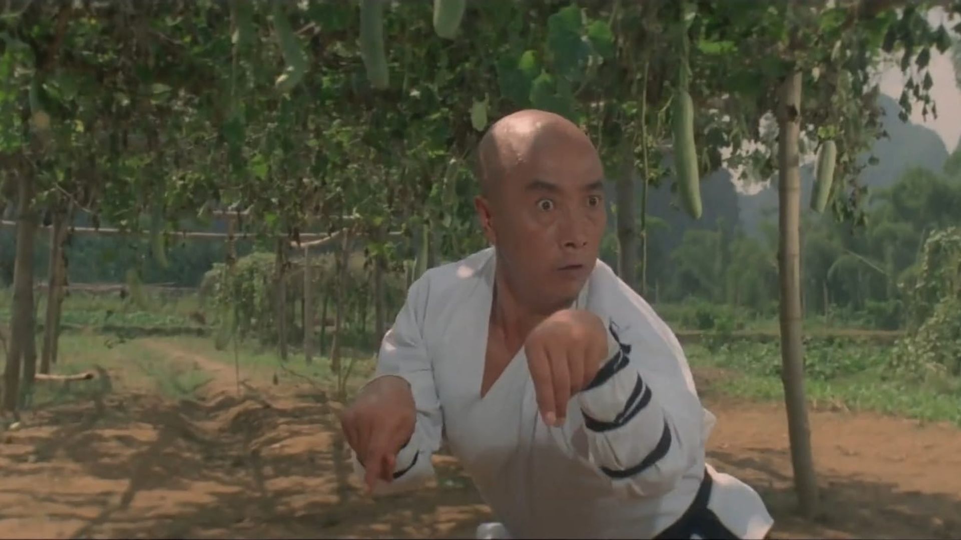 Martial Arts of Shaolin background
