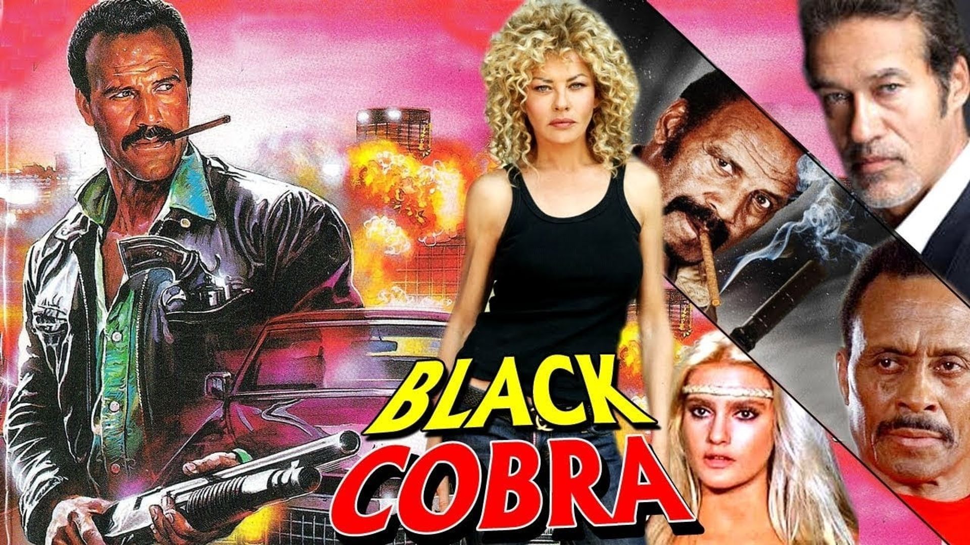 Cobra nero background