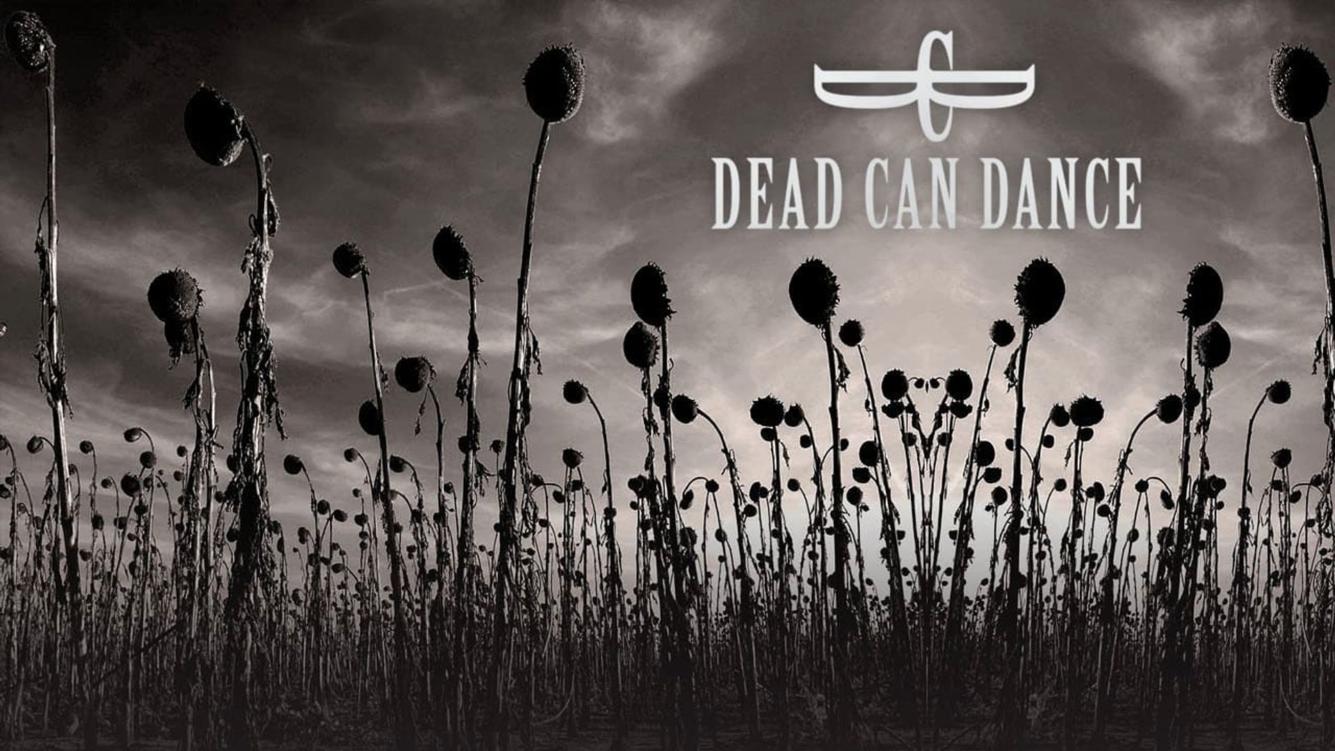 Dead Can Dance: Toward the Within background