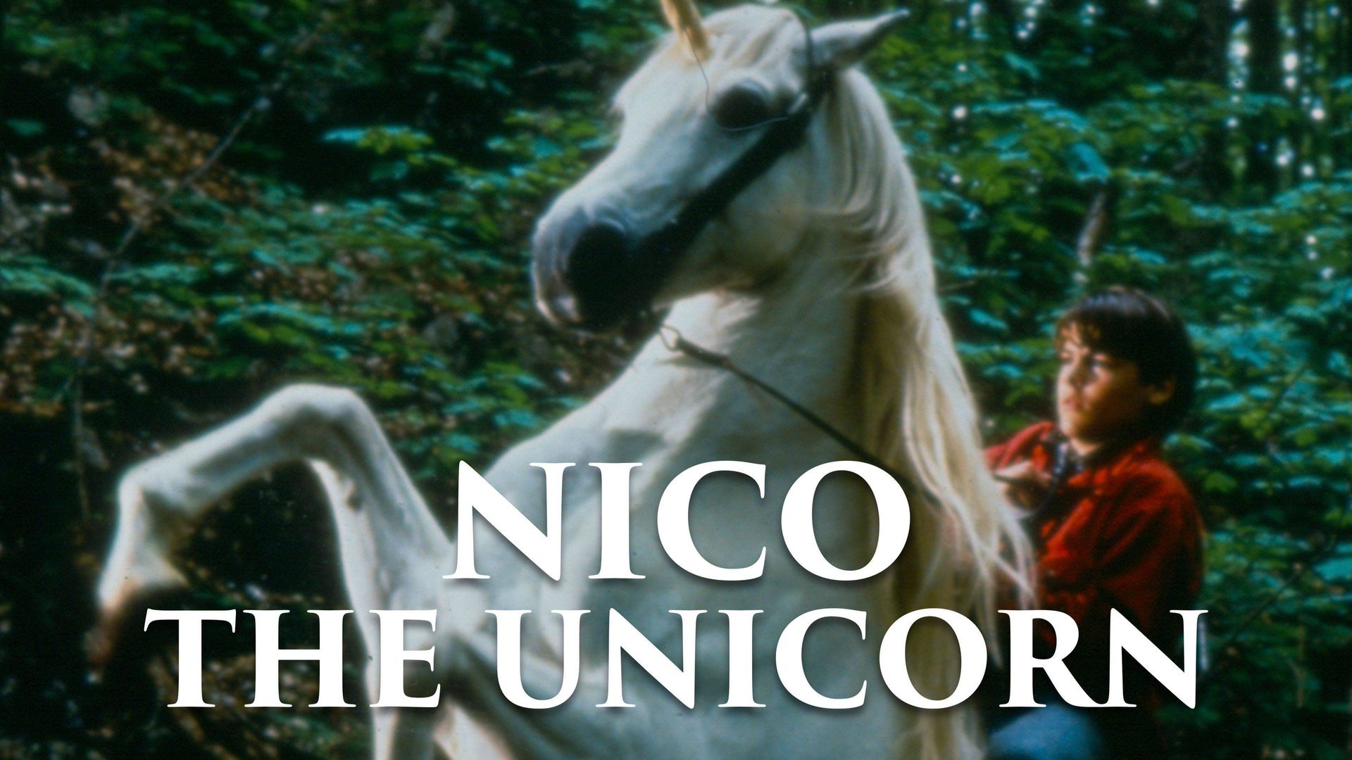 Nico the Unicorn background