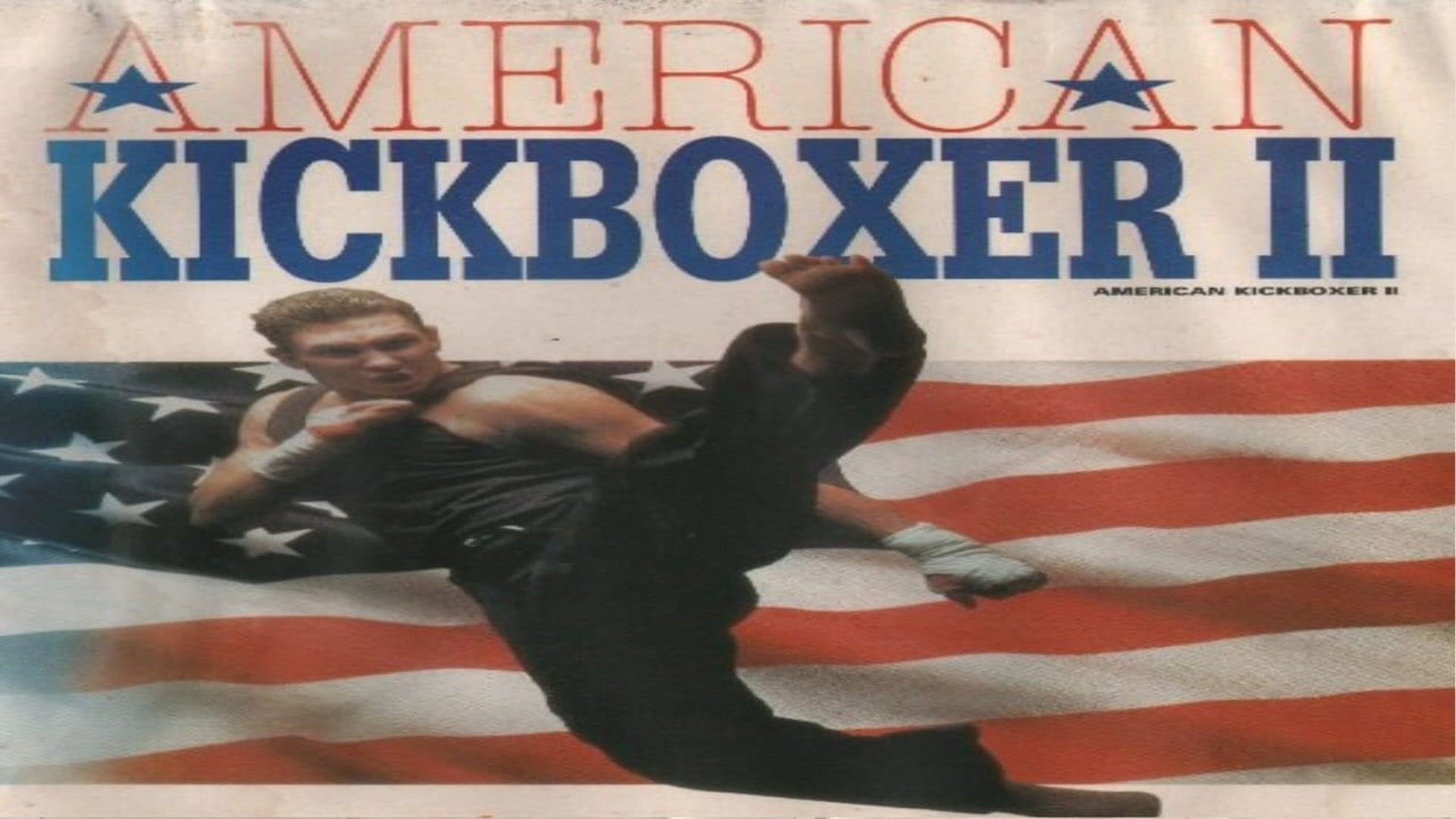 American Kickboxer 2 background