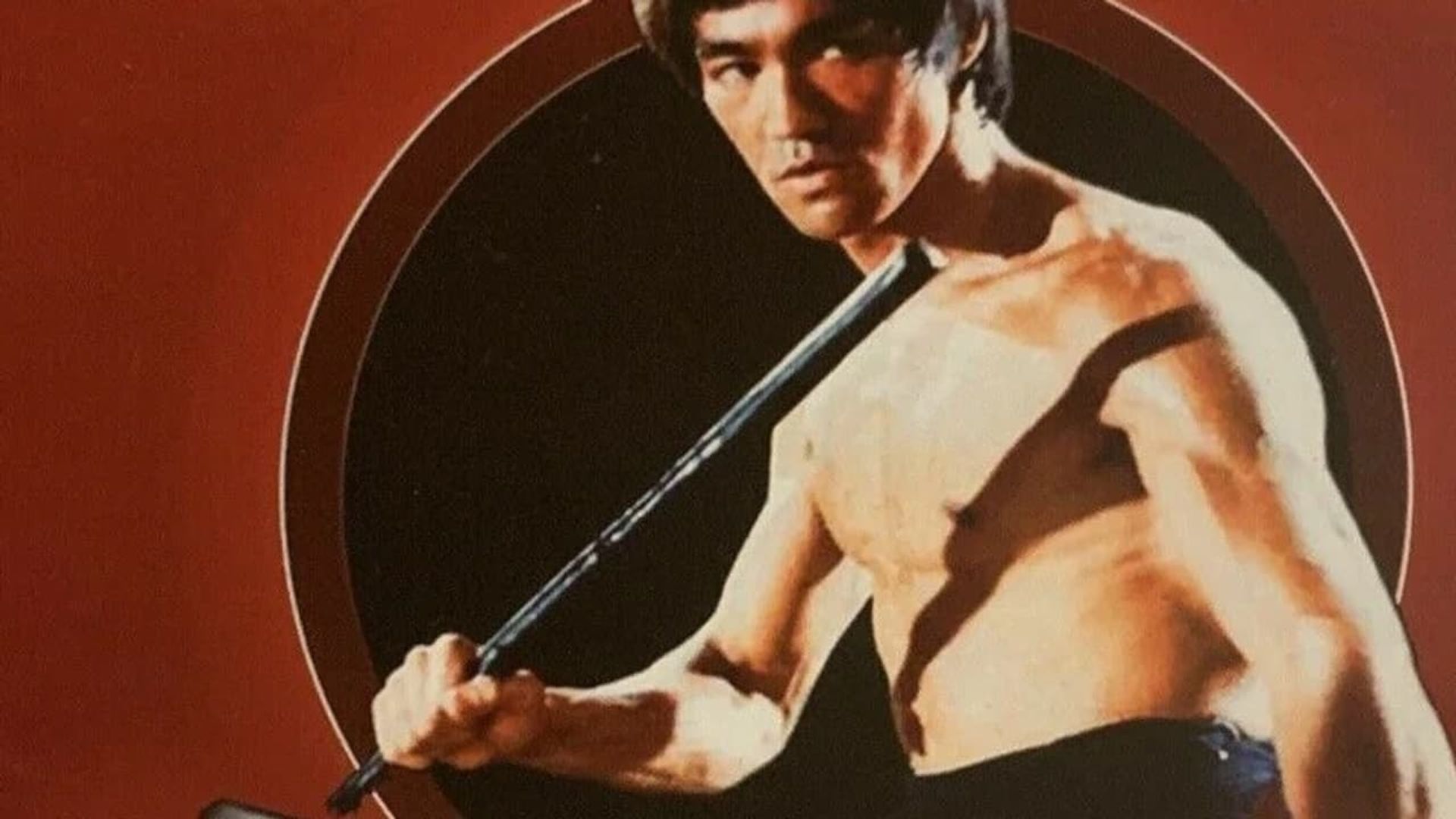 Bruce Lee: The Little Dragon background