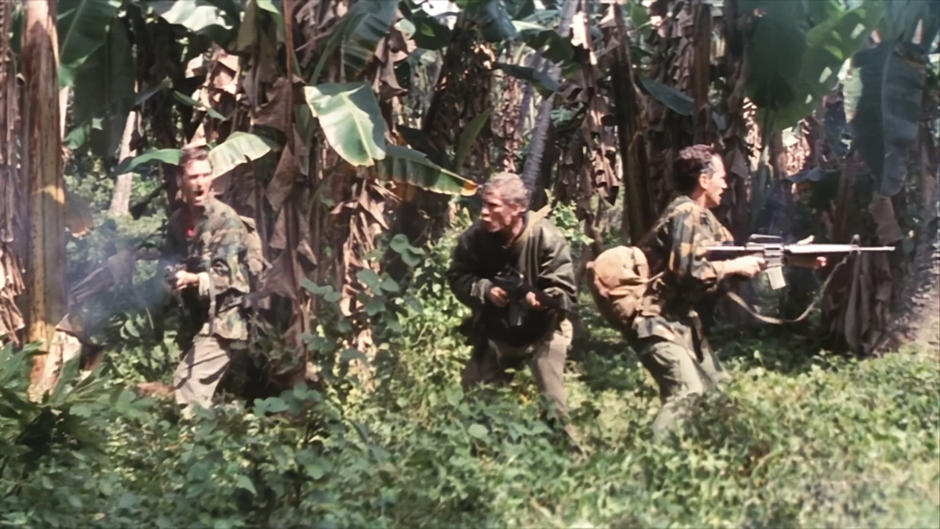 Operation Nam background