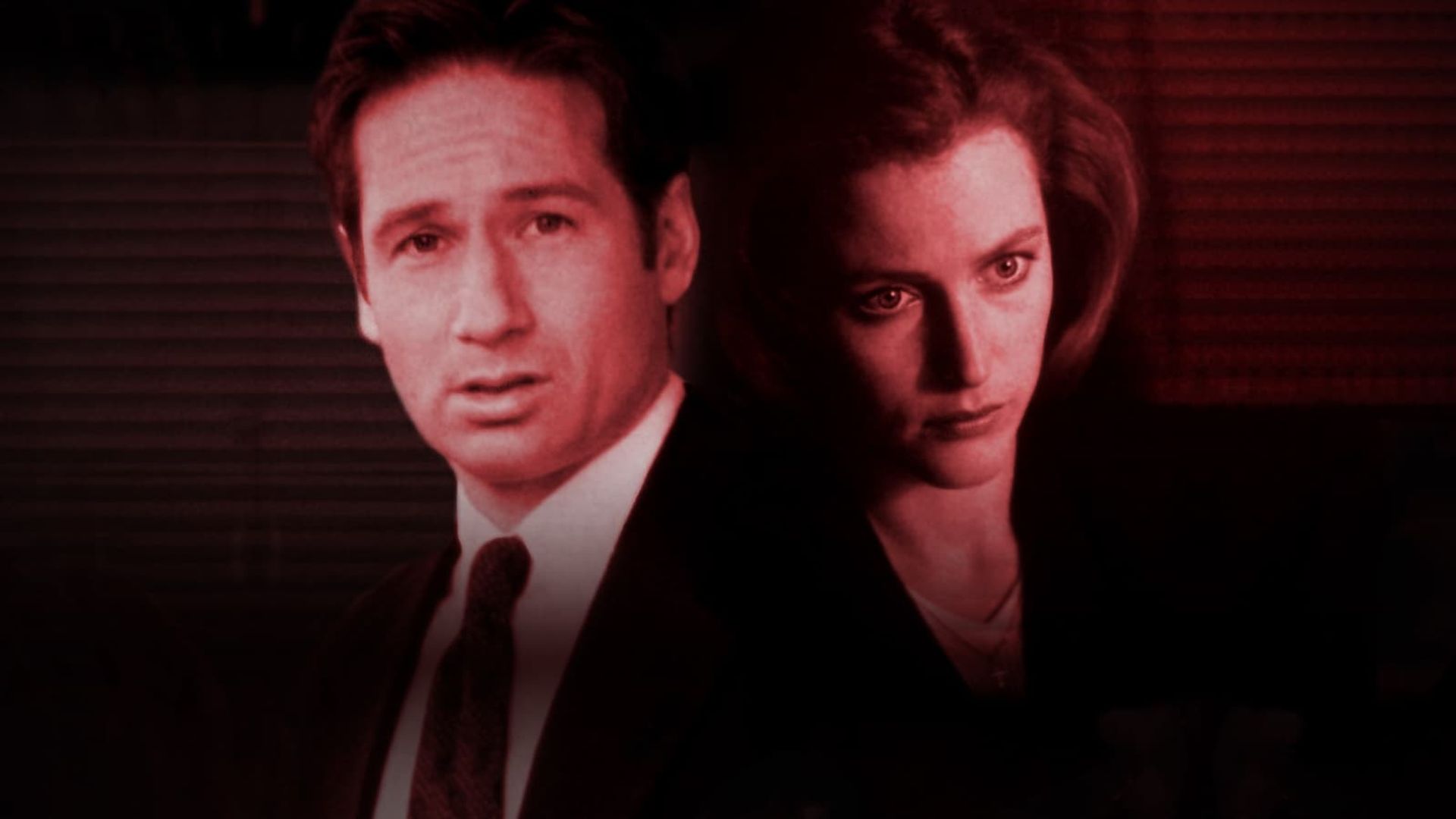 Inside the X Files background
