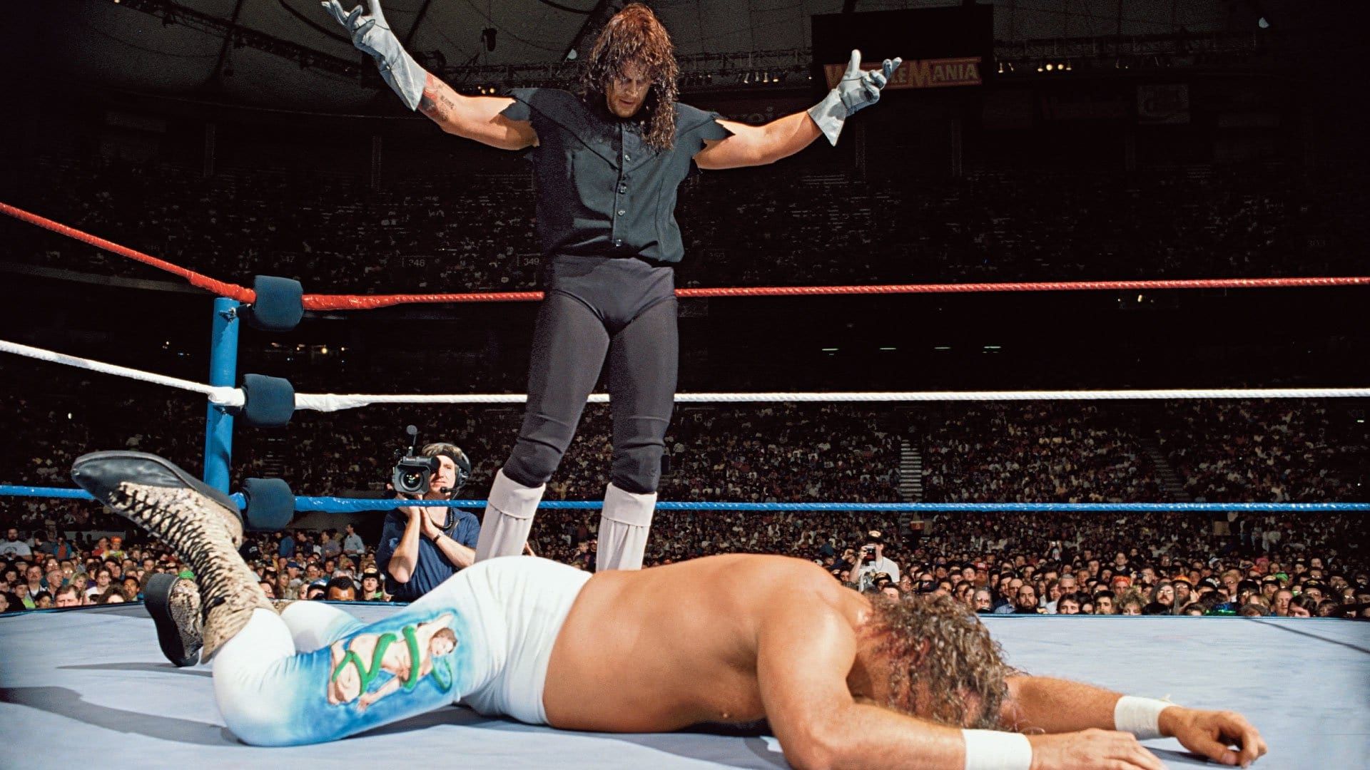 WrestleMania VIII background