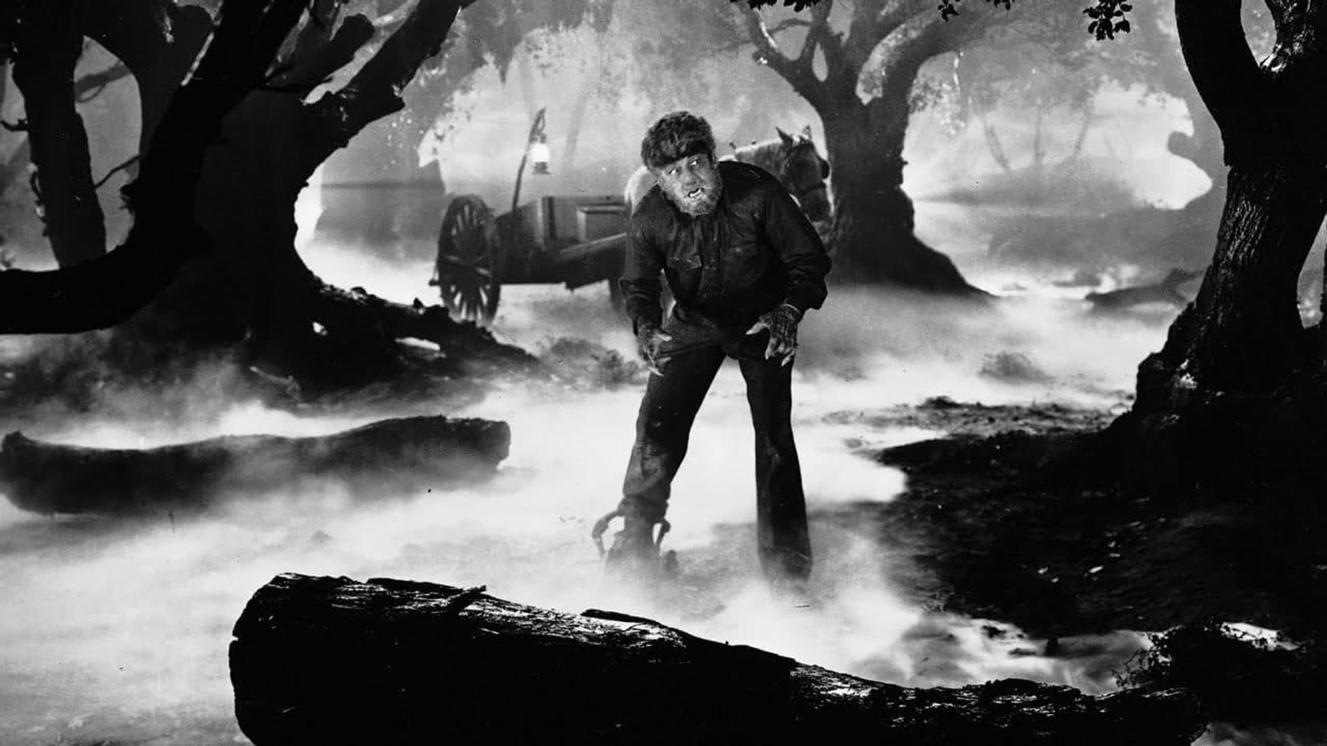 Monster by Moonlight! The Immortal Saga of 'The Wolf Man' background