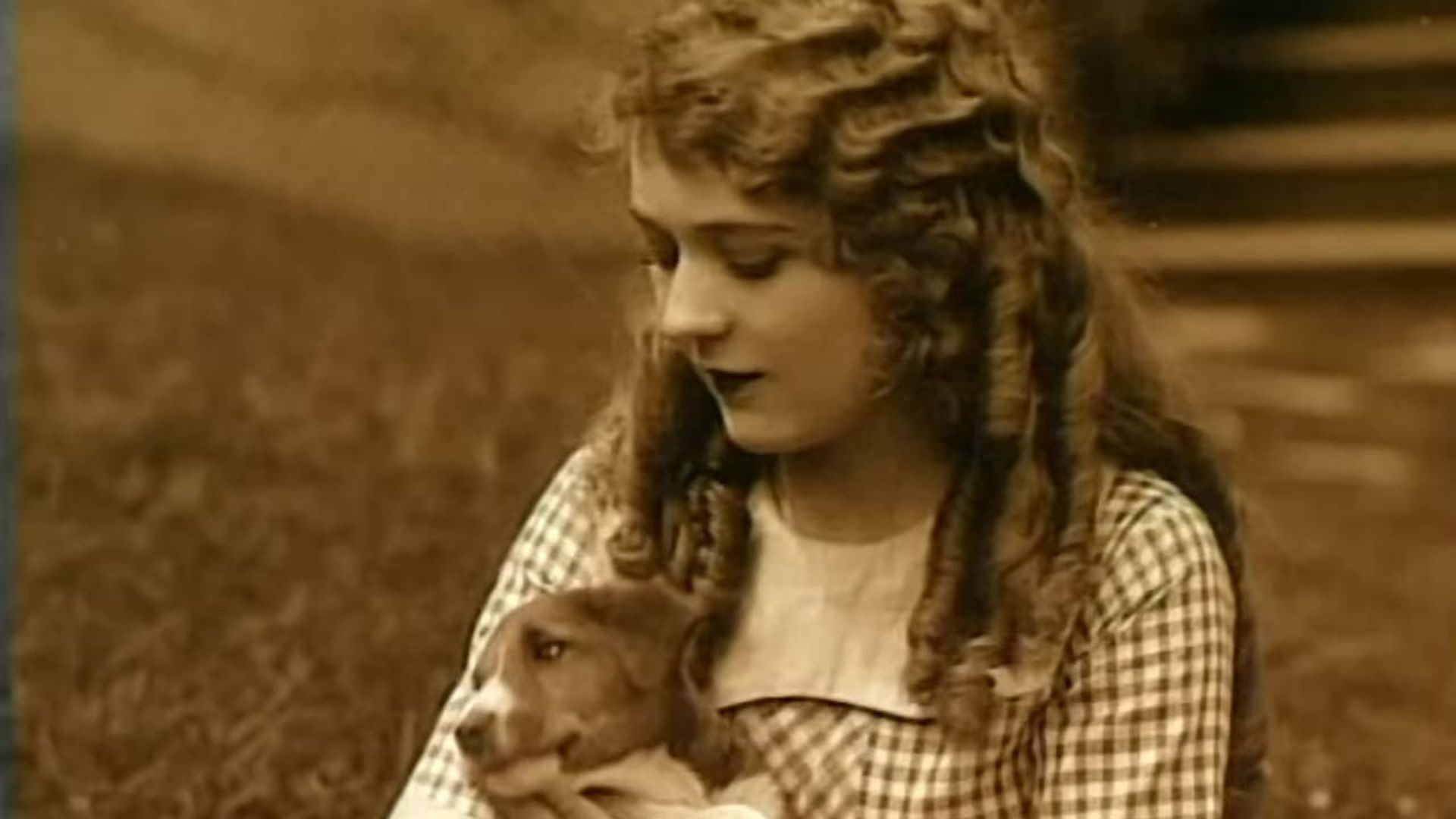 Mary Pickford: A Life on Film background
