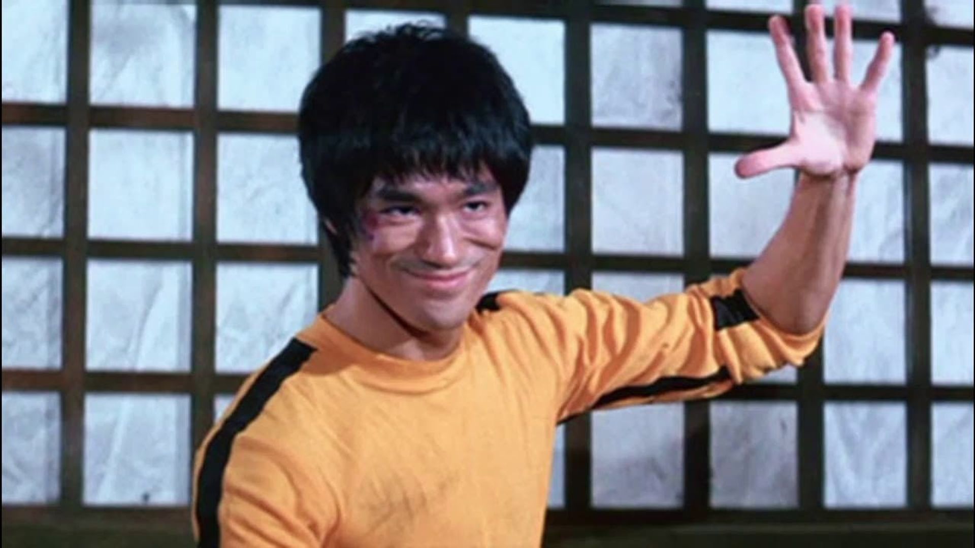 Bruce Lee: A Warrior's Journey background