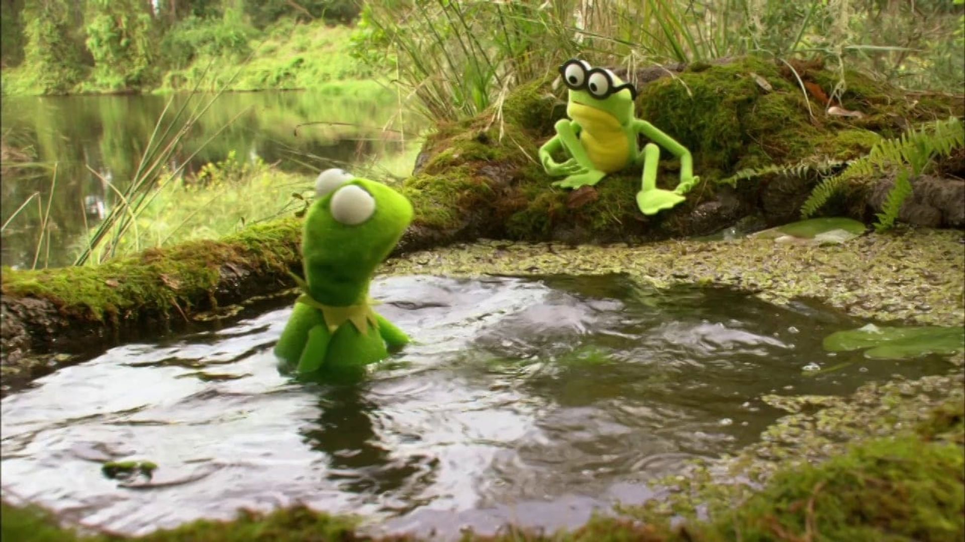 Kermit's Swamp Years background