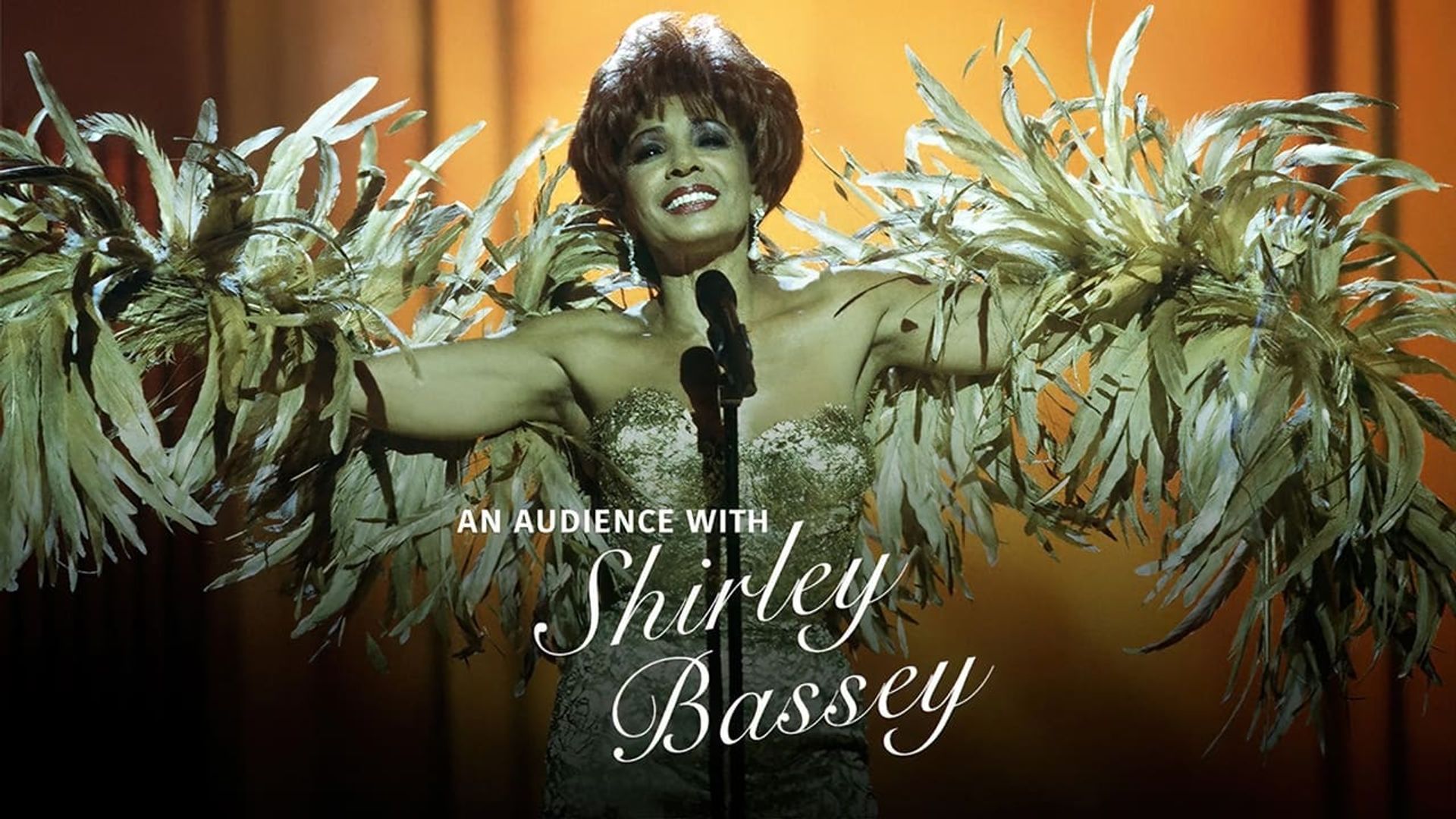 An Audience with Shirley Bassey background