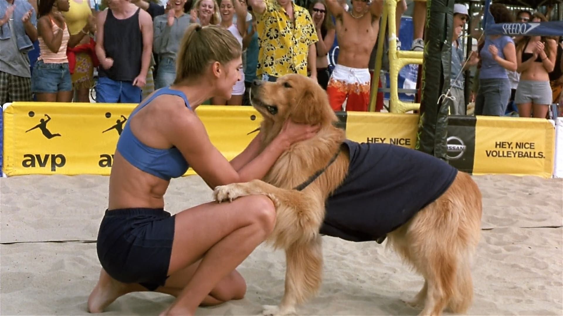 Air Bud: Spikes Back background