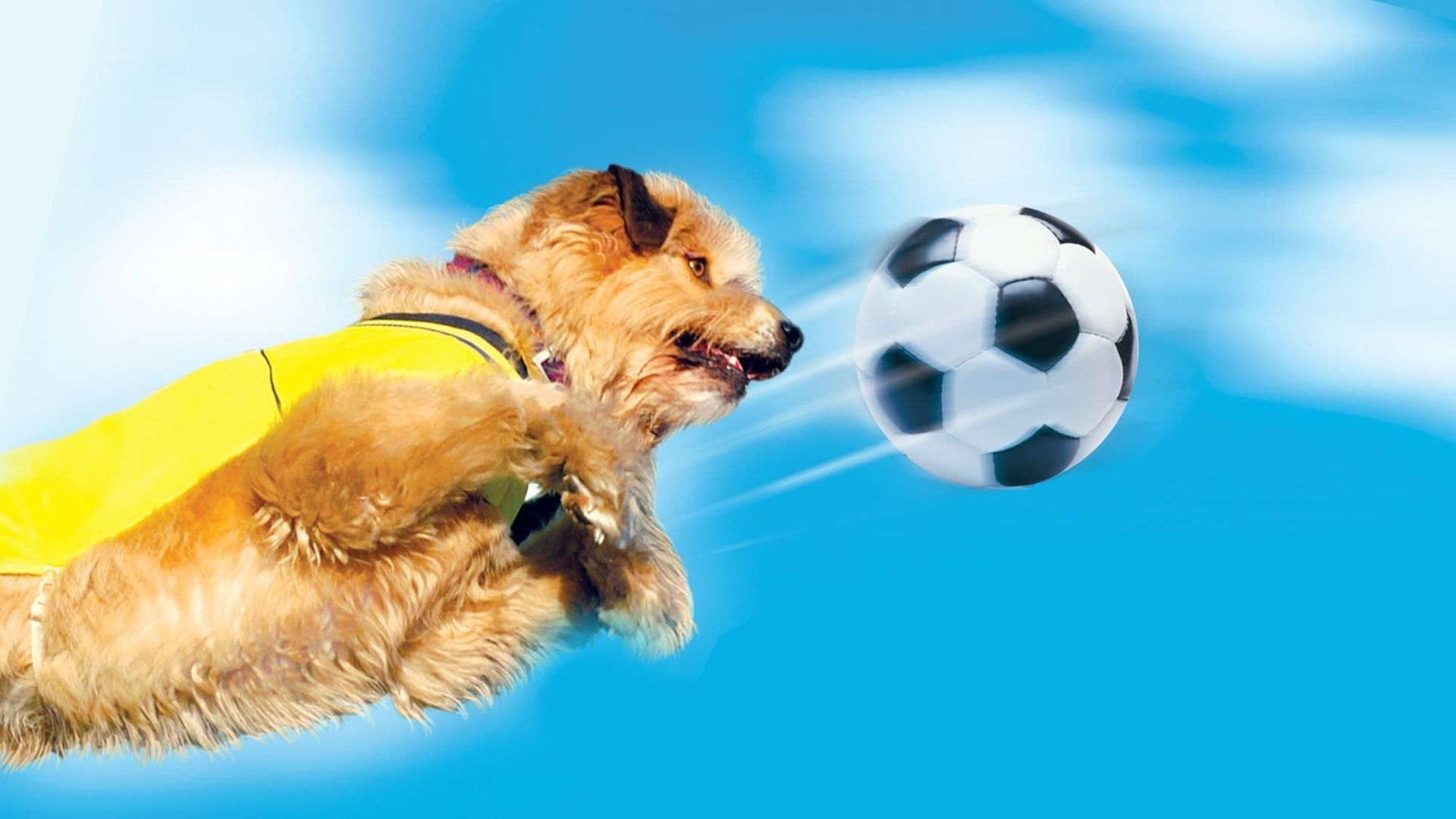 Soccer Dog: European Cup background