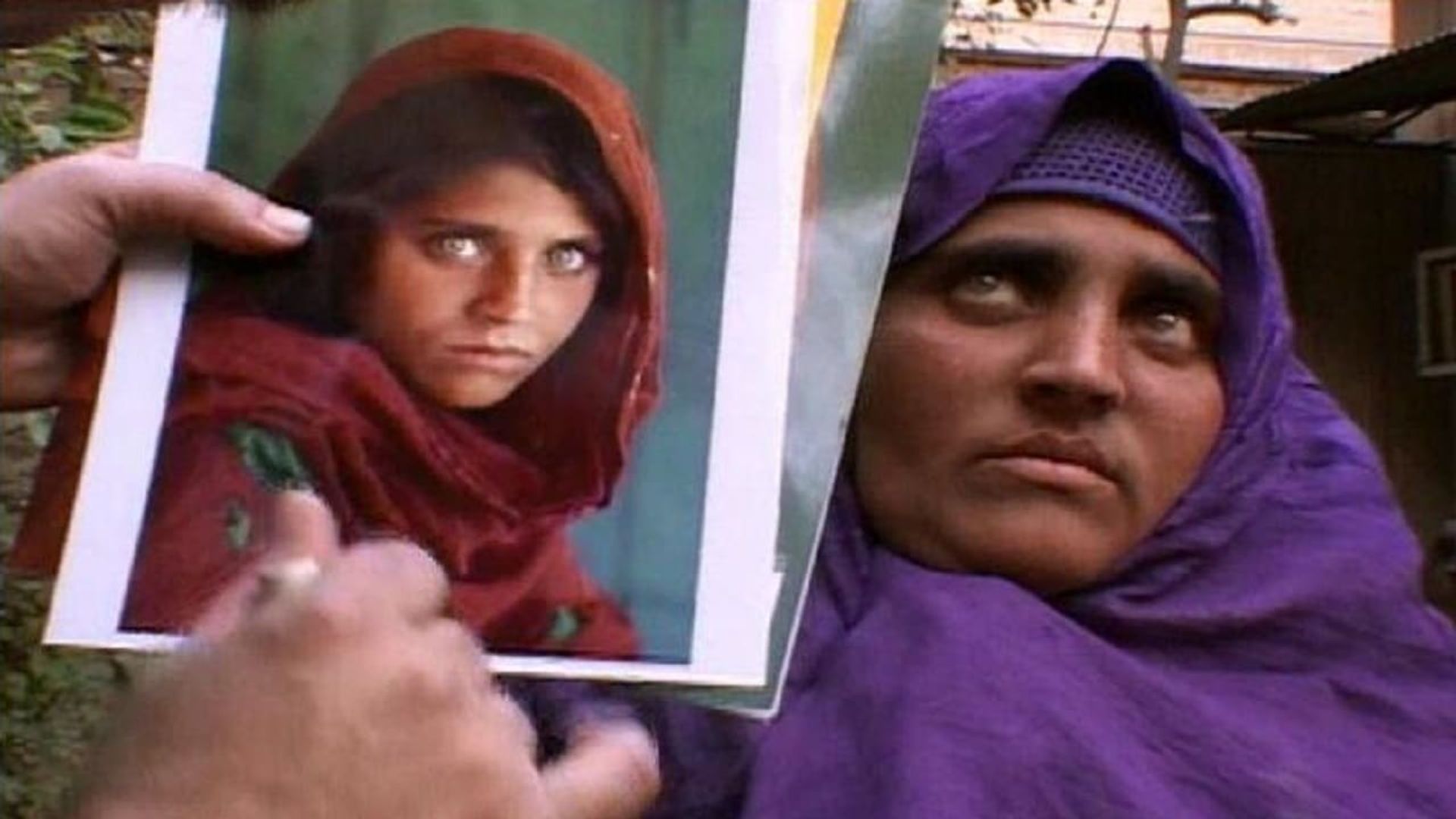 Search for the Afghan Girl background
