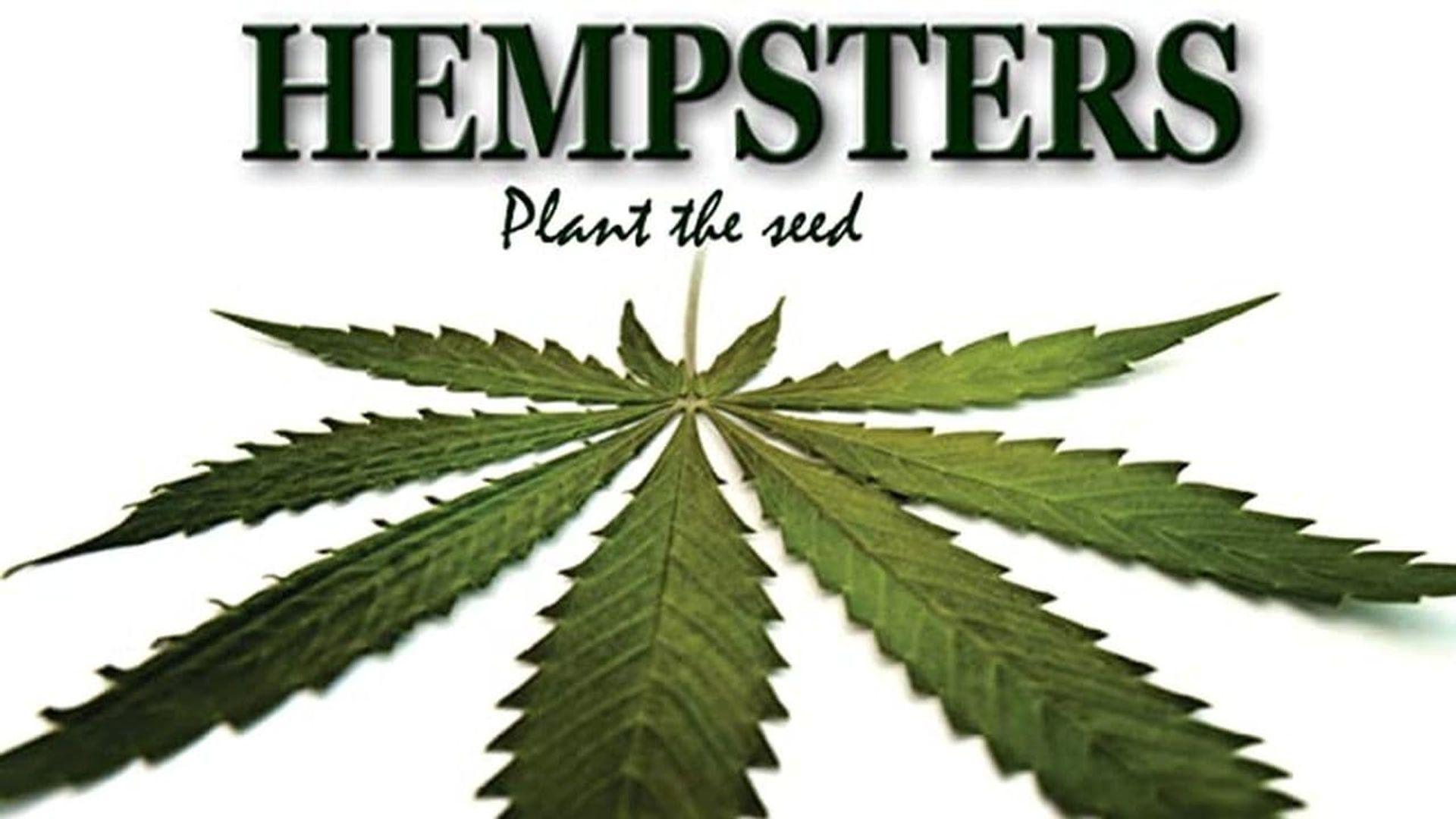 Hempsters: Plant the Seed background