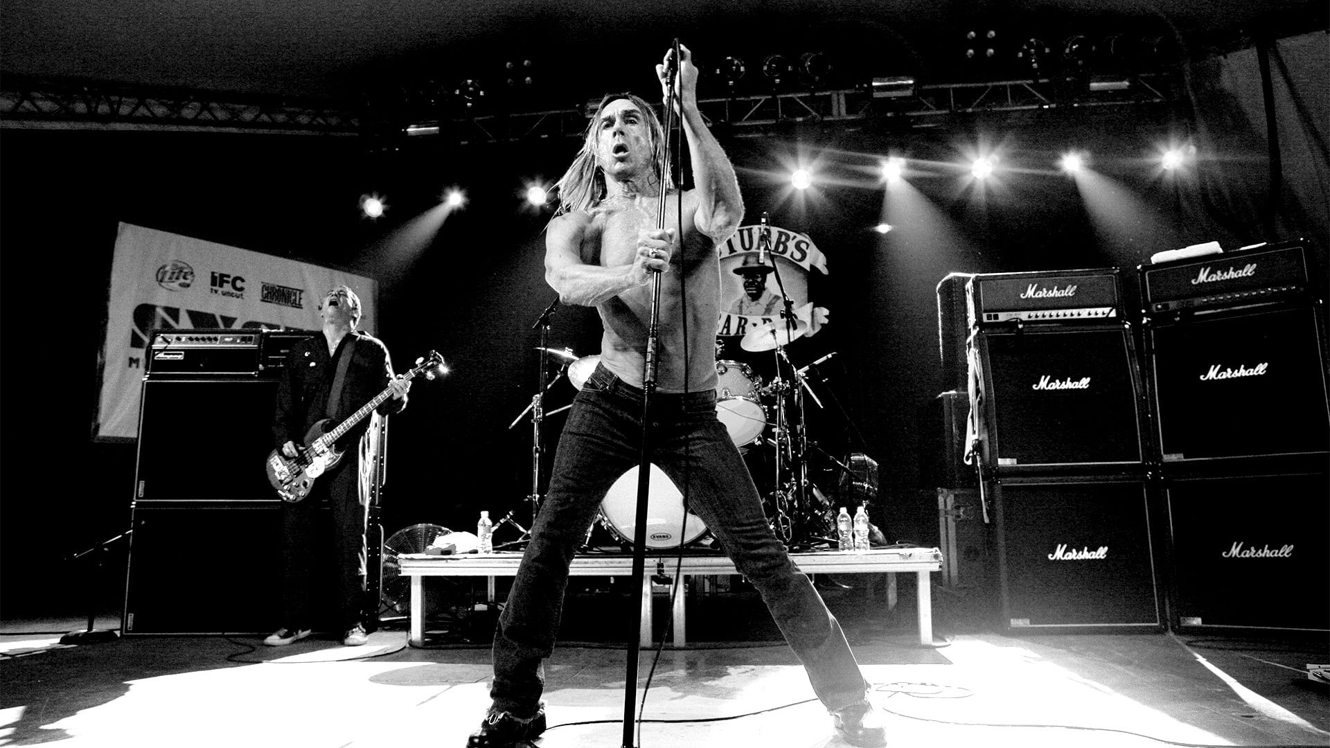 Iggy & the Stooges: Live in Detroit background