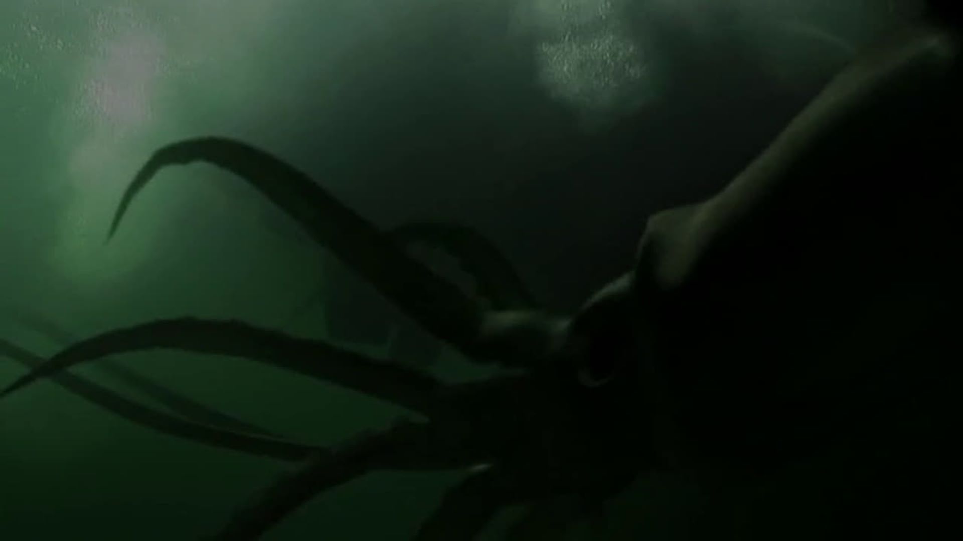 Kraken: Tentacles of the Deep background