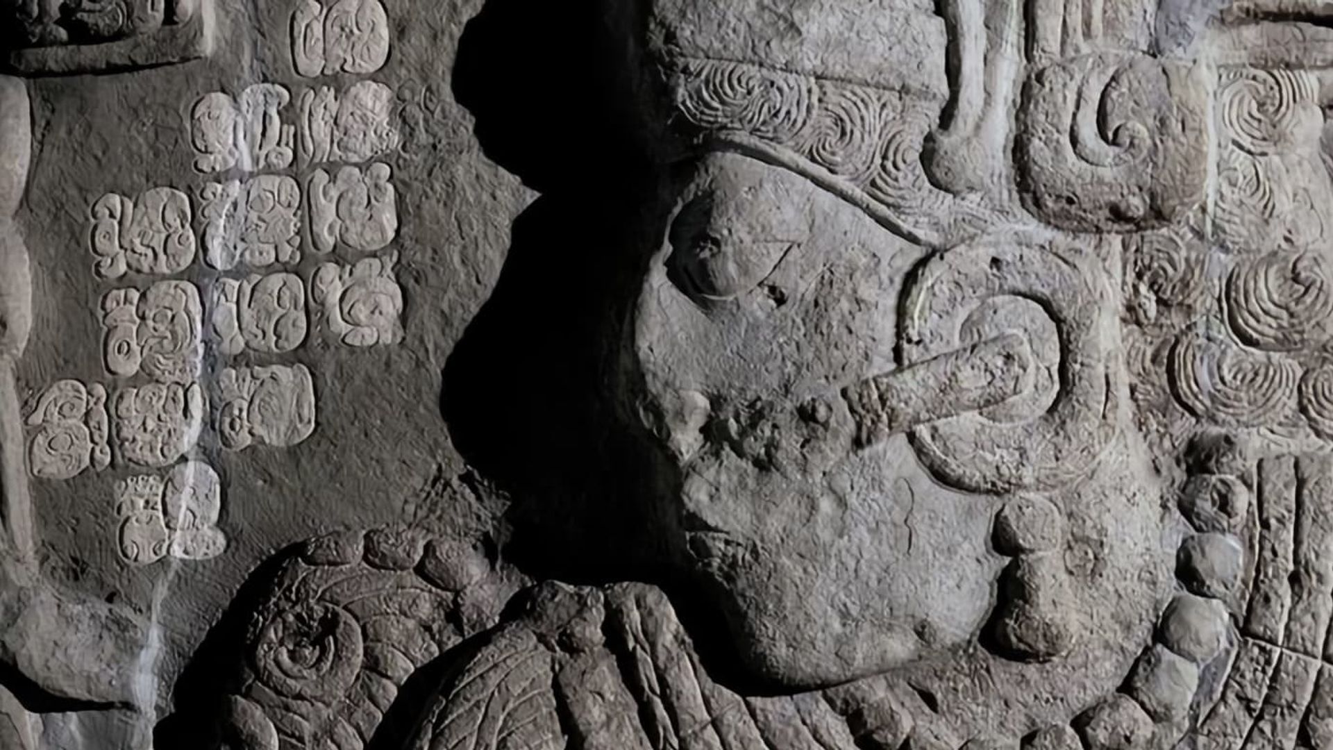 Breaking the Maya Code background