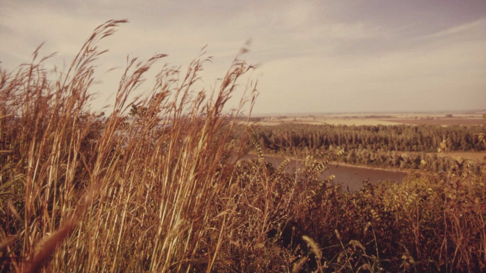 America's Lost Landscape: The Tallgrass Prairie background