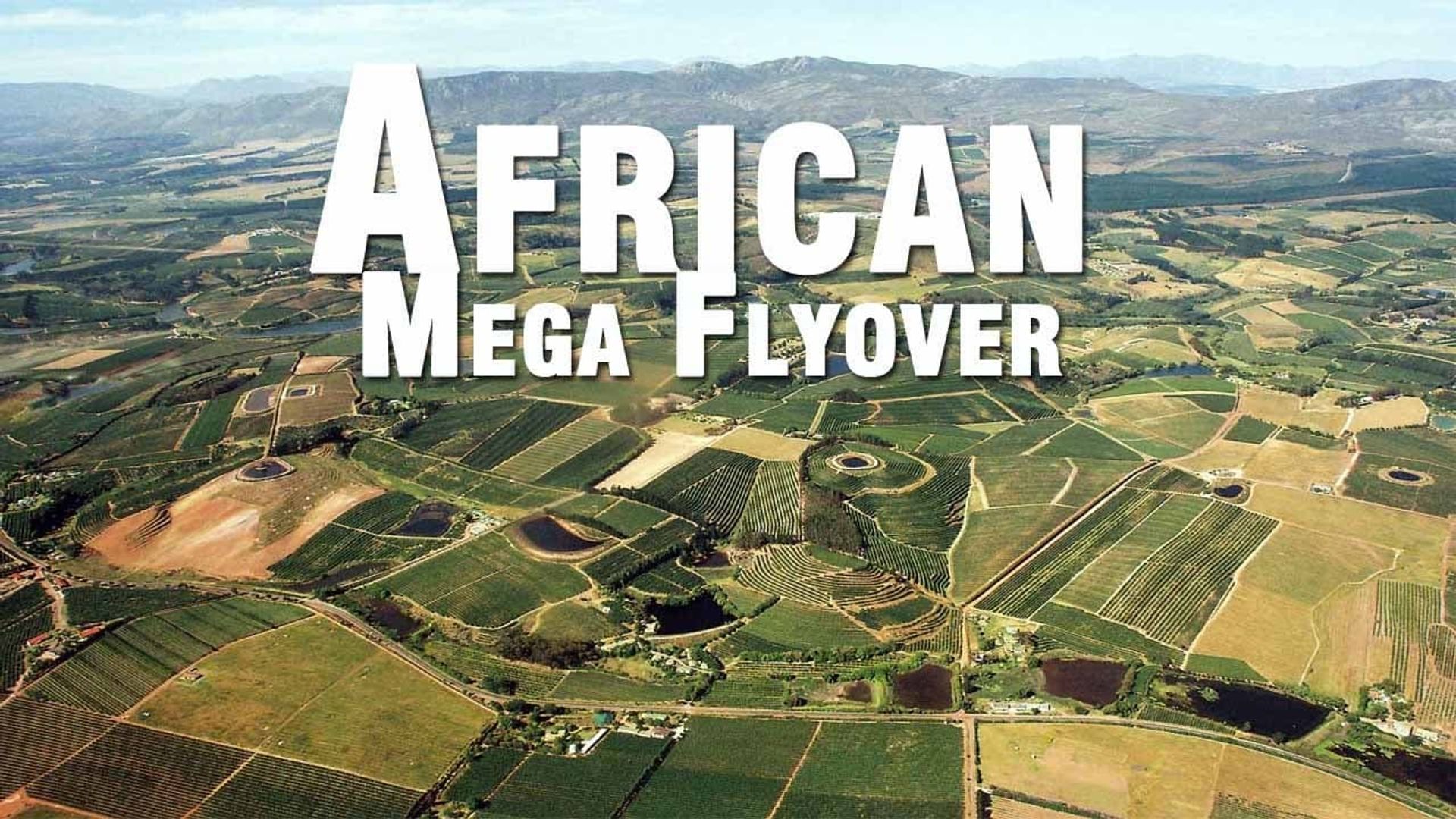 African Megaflyover background