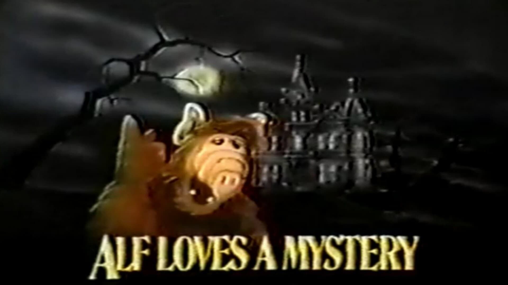 Alf Loves a Mystery background