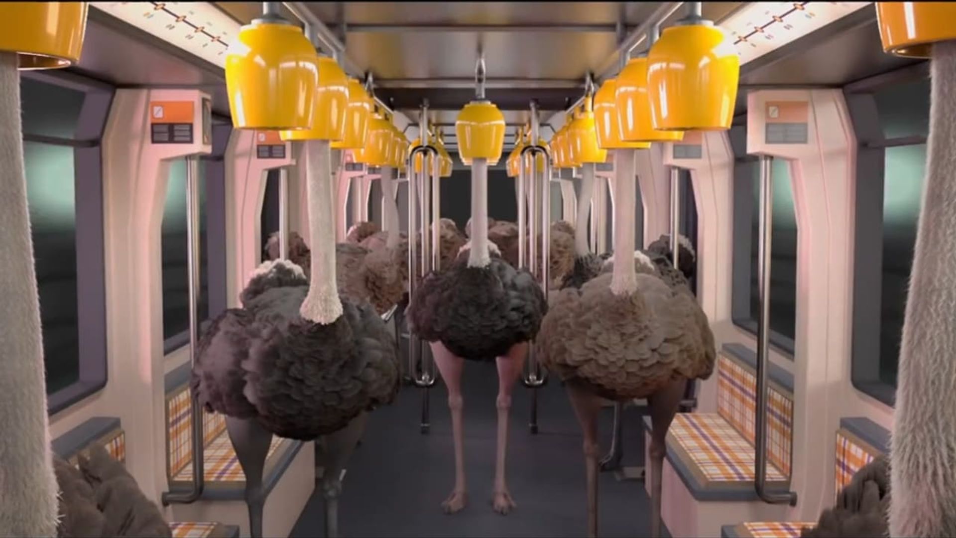 The Ostrich Politic background
