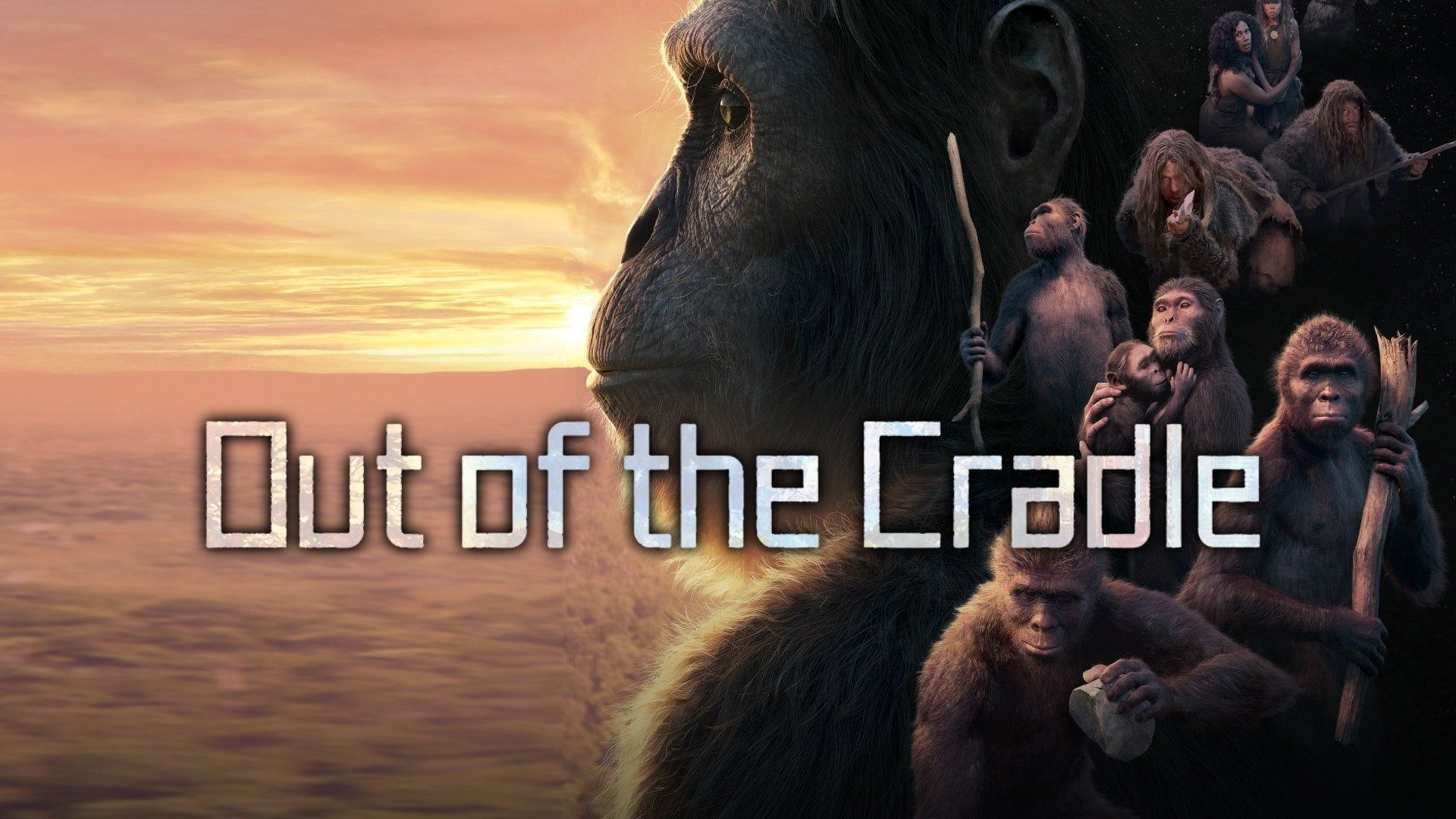 Out of the Cradle background