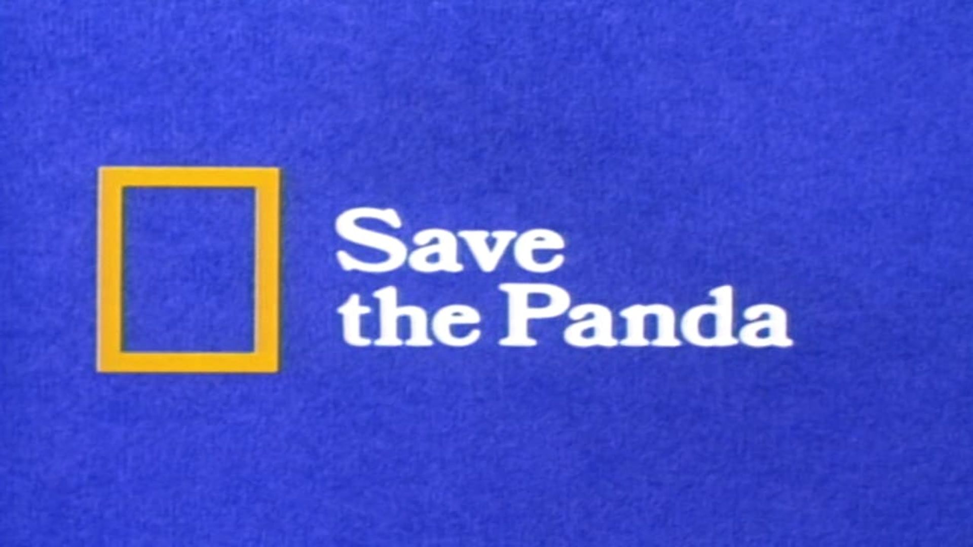 Save the Panda background