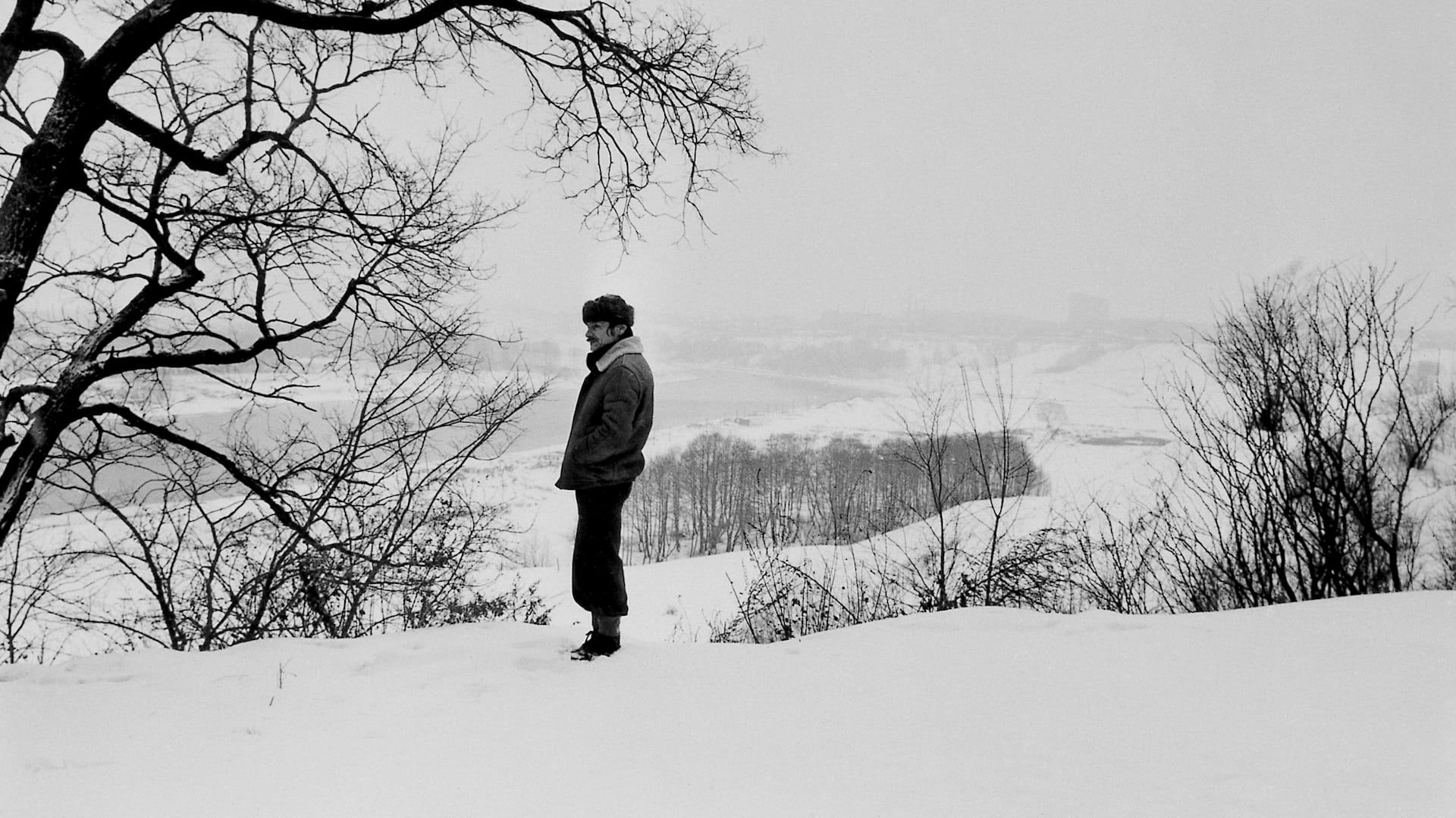 Andrey Tarkovsky. A Cinema Prayer background