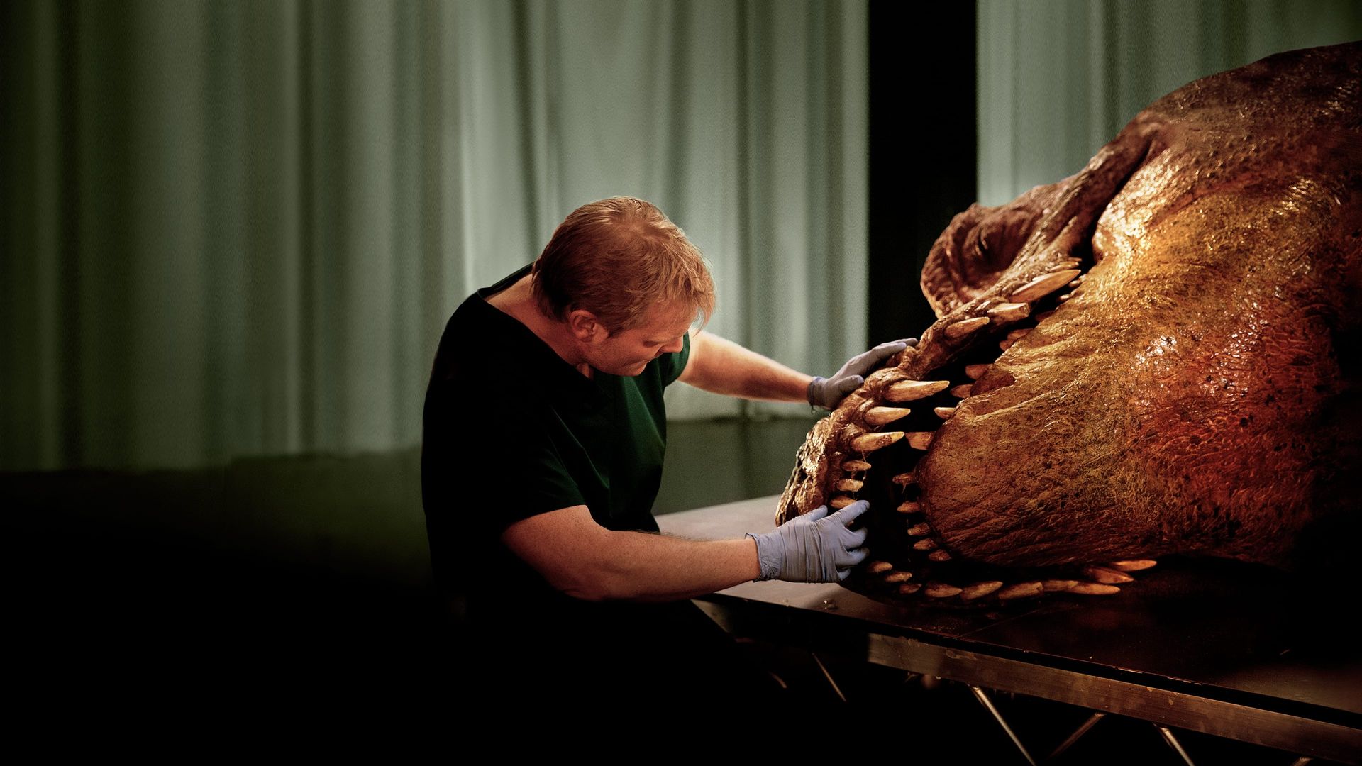T. Rex Autopsy background