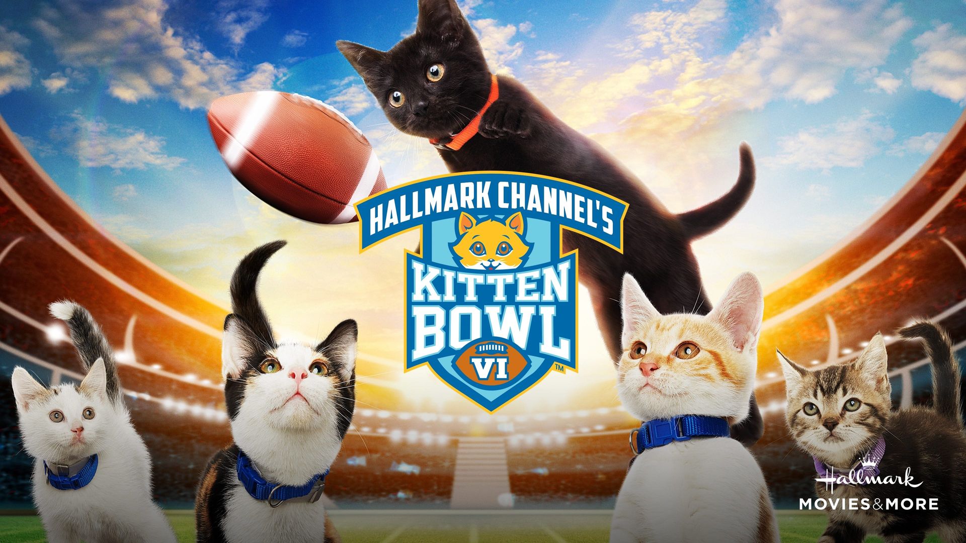 Kitten Bowl VI background
