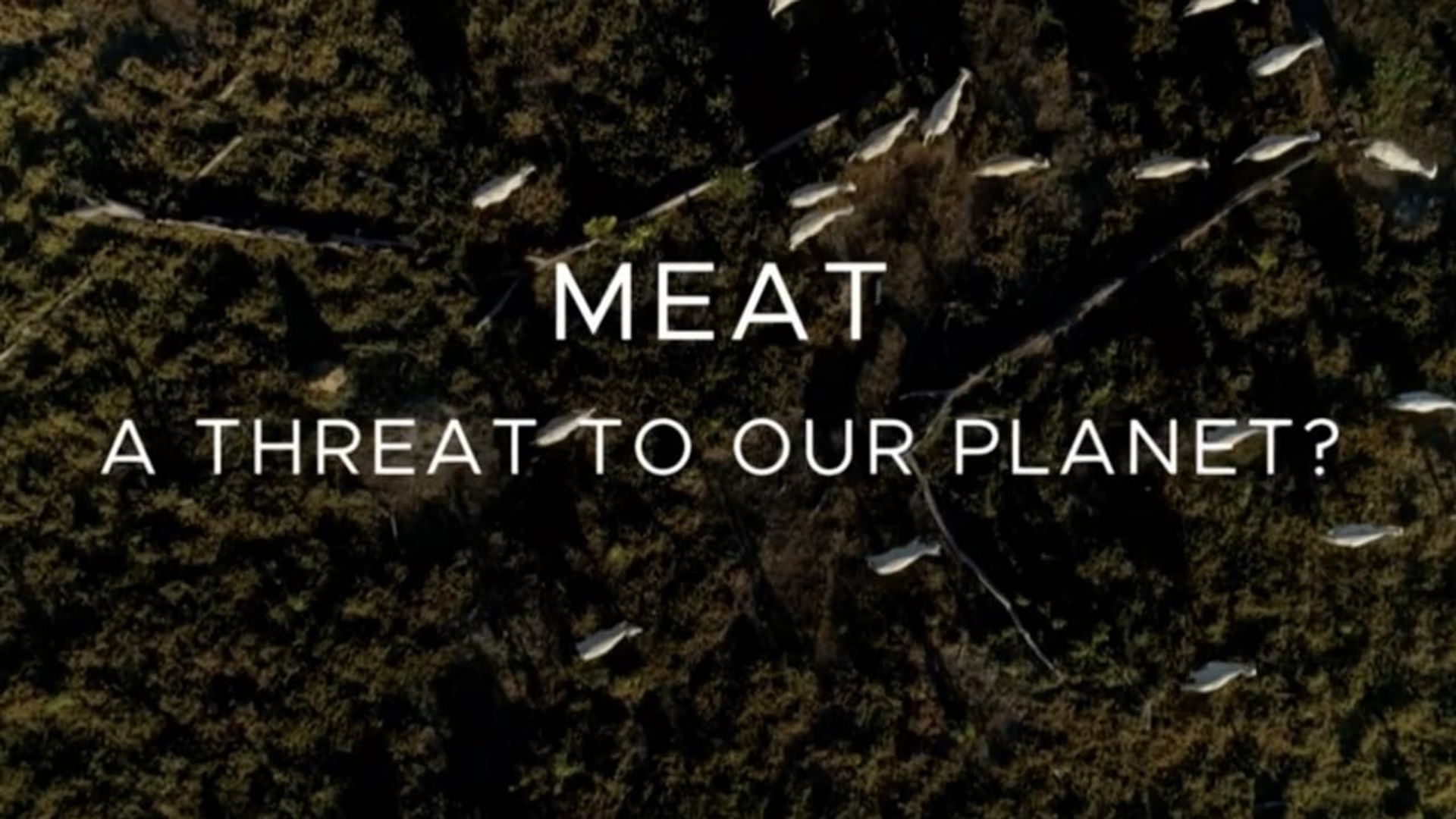 Meat: A Threat to Our Planet background