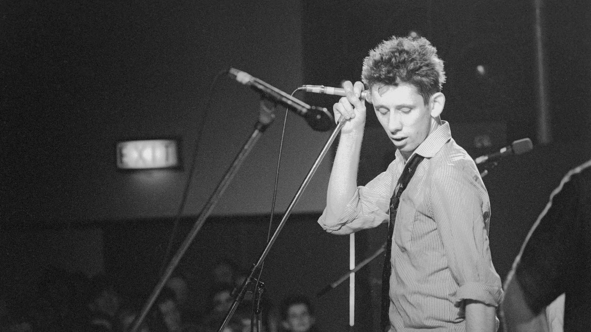 Crock of Gold: A Few Rounds with Shane MacGowan background