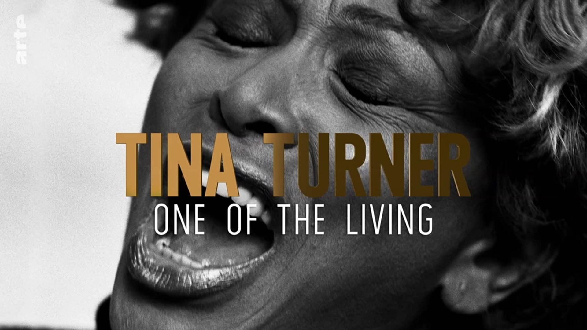 Tina Turner: One of the Living background